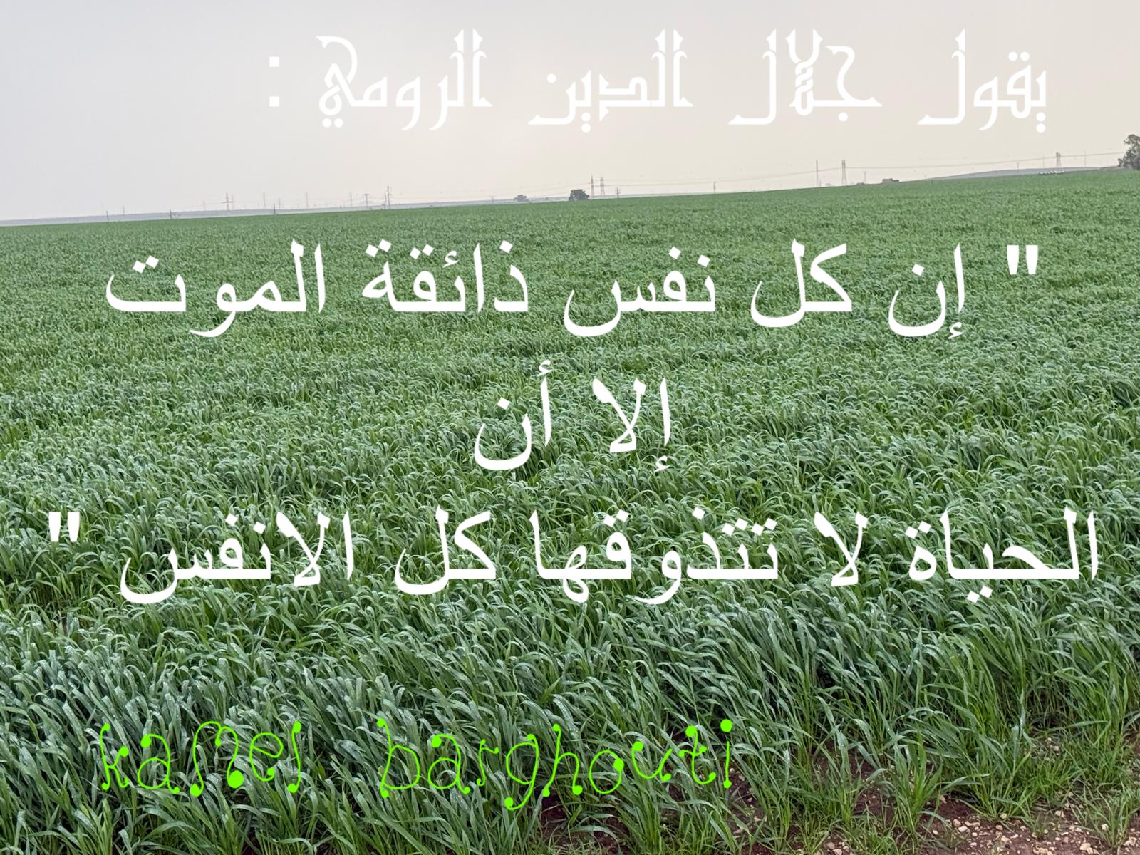 Beautiful Talk – quote 500