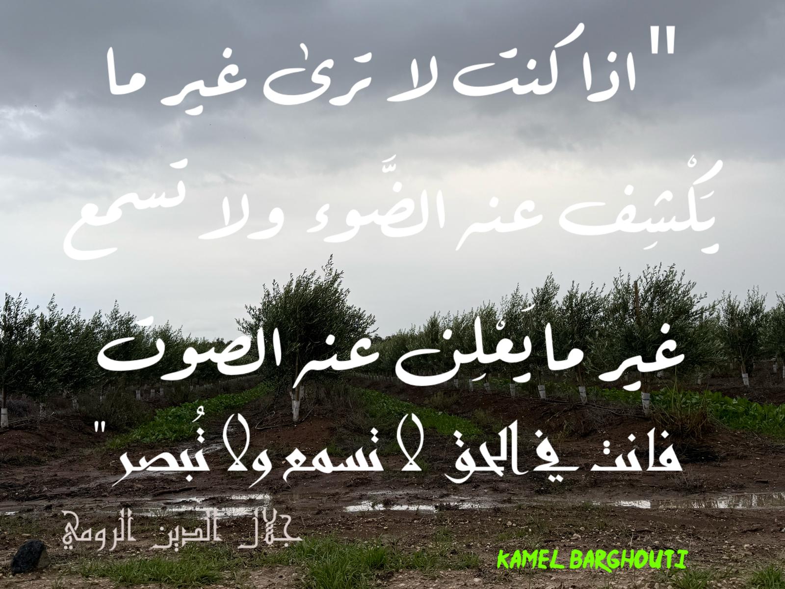 Beautiful Talk – quote 498
