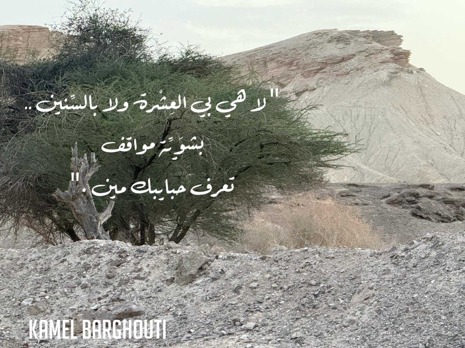 Beautiful Talk – quote 494