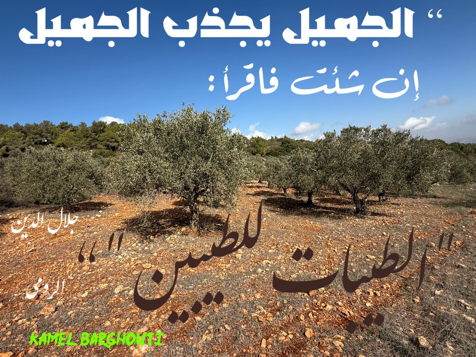 Beautiful Talk – quote 497