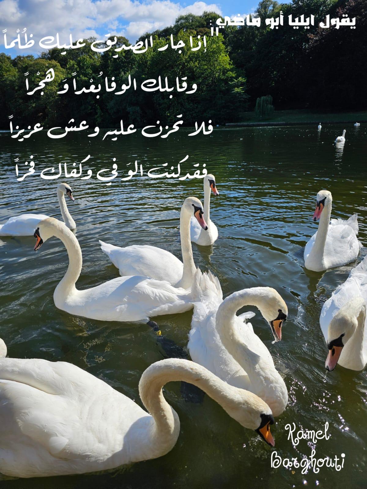 Beautiful Talk – quote 489