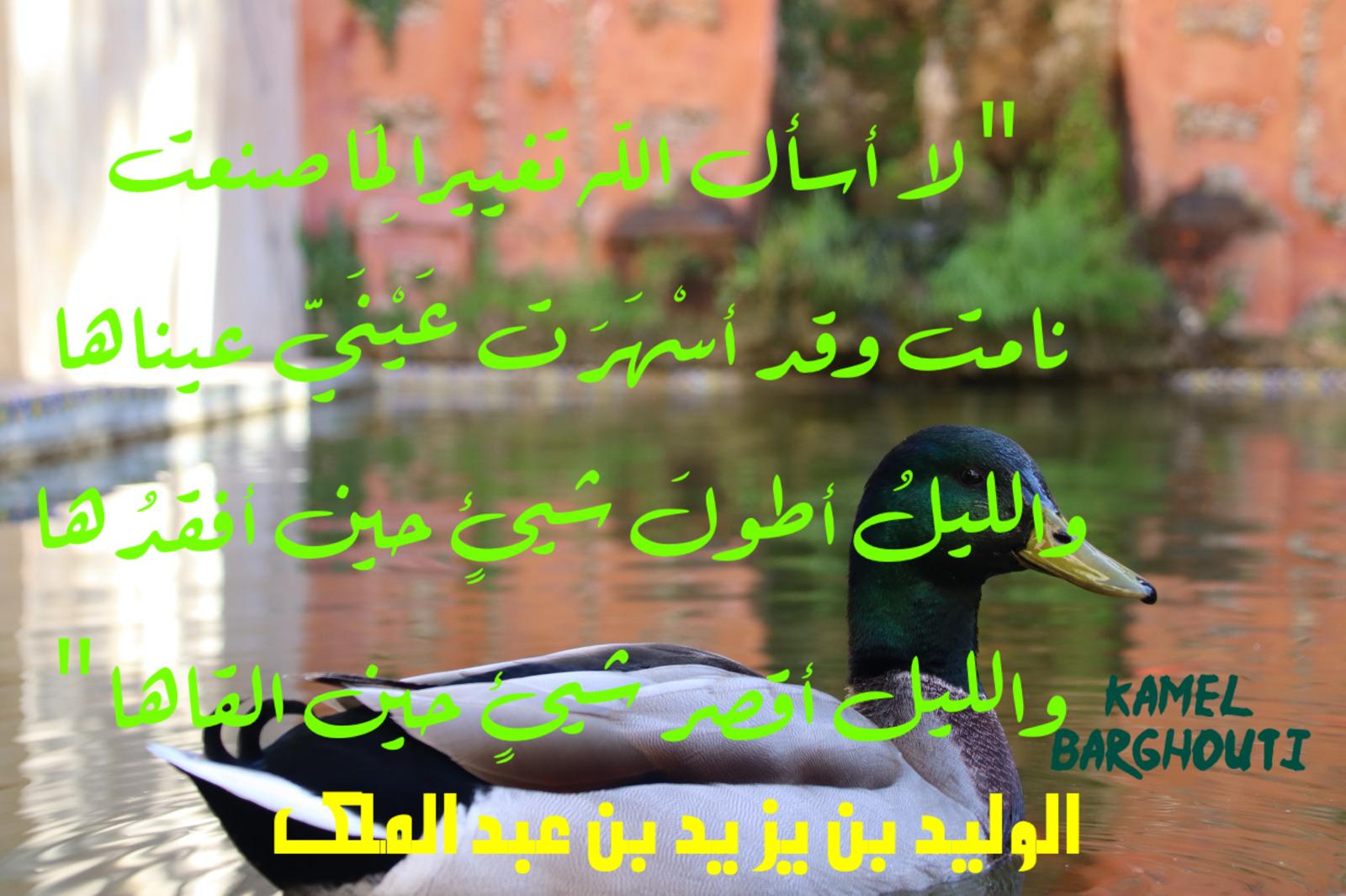 Beautiful Talk – quote 465