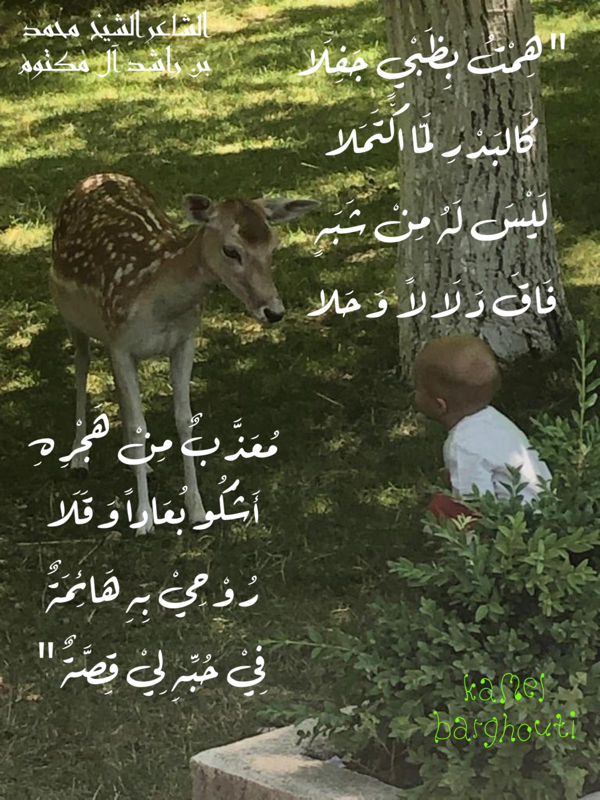 Beautiful Talk – quote 453