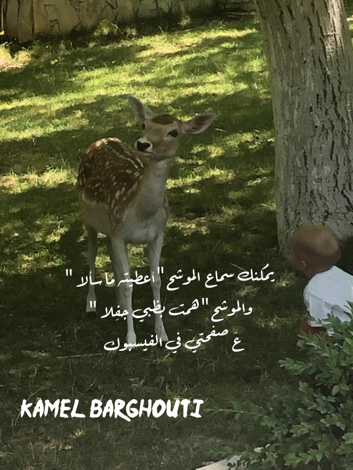 Beautiful Talk – quote 452