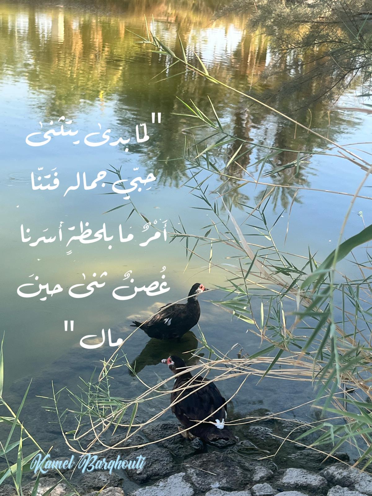 Beautiful Talk – quote 460