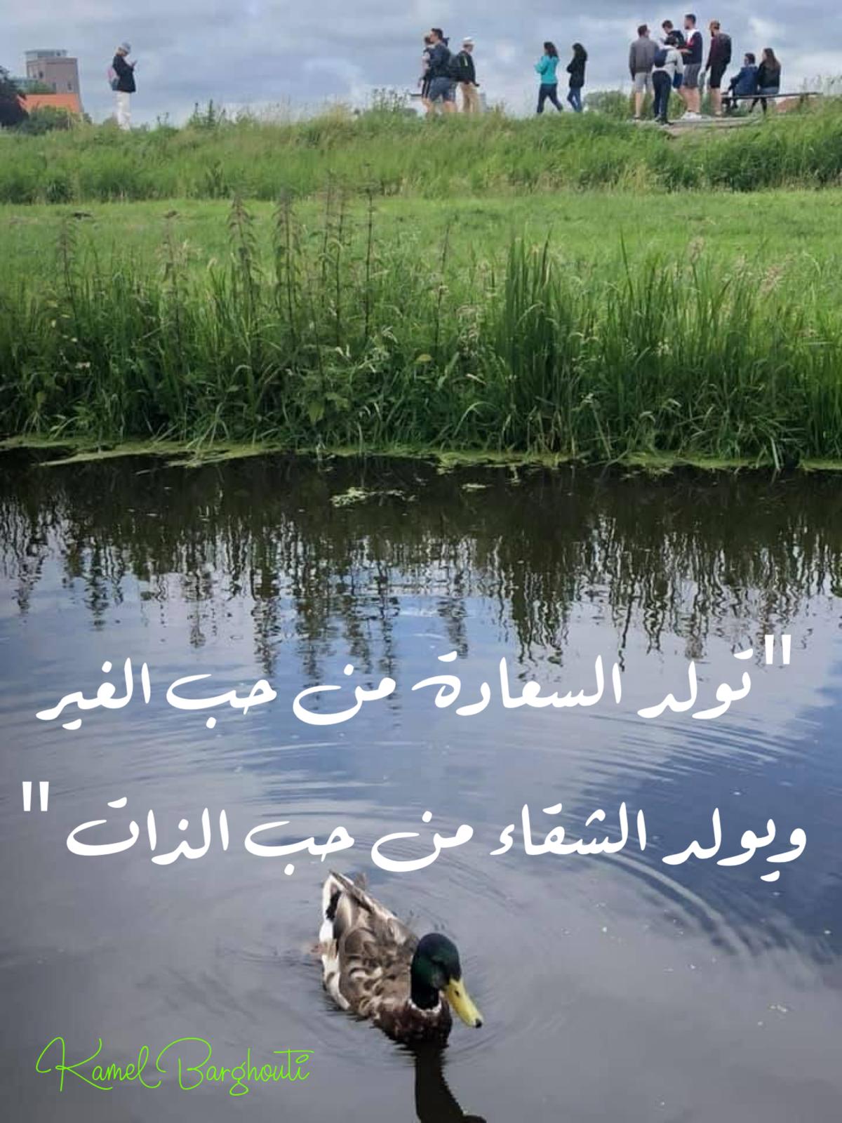 Beautiful Talk – quote 427