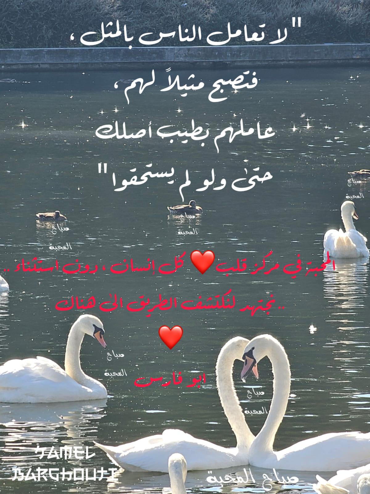 Beautiful Talk – quote 430