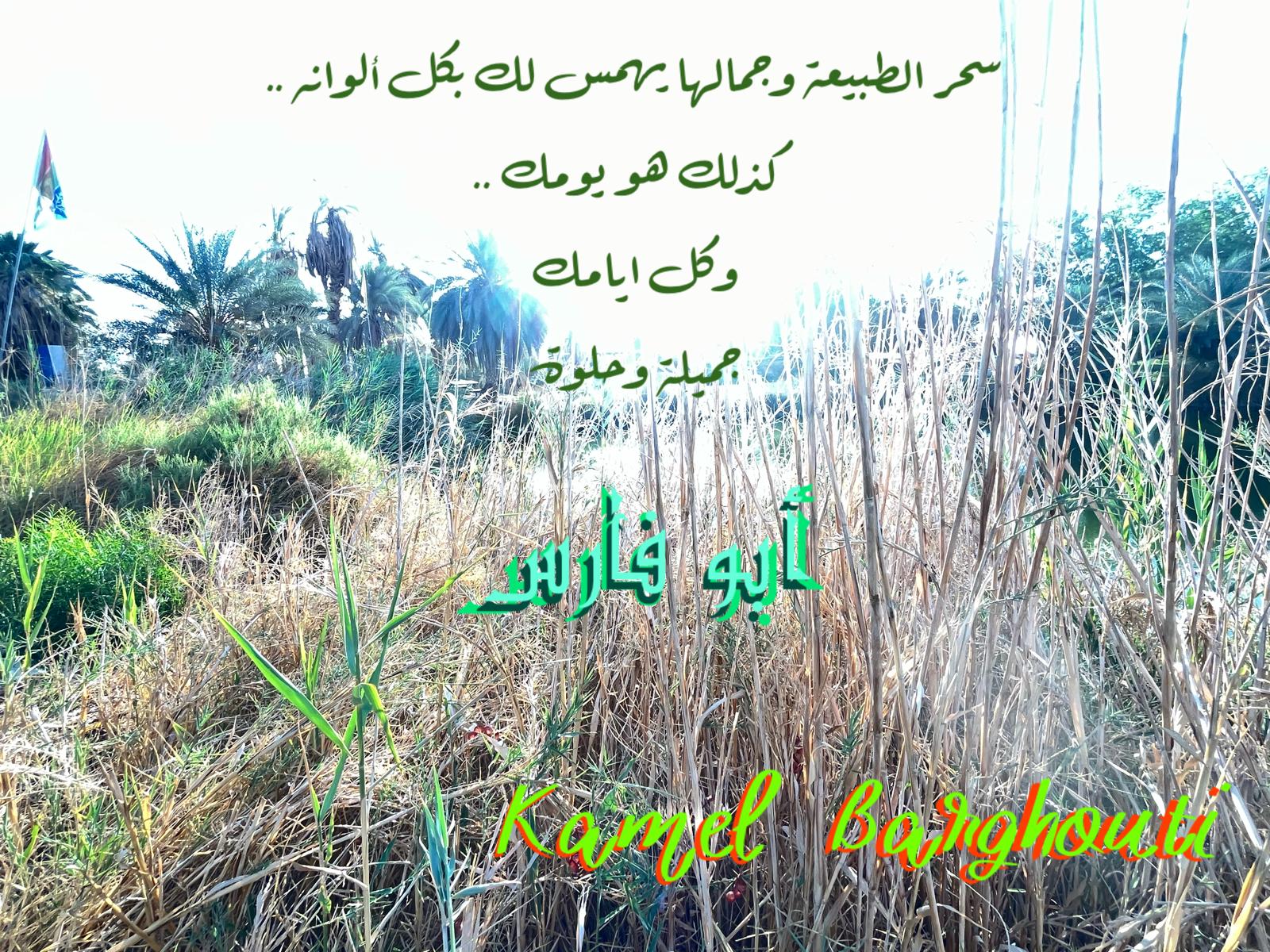 Beautiful Talk – quote 410
