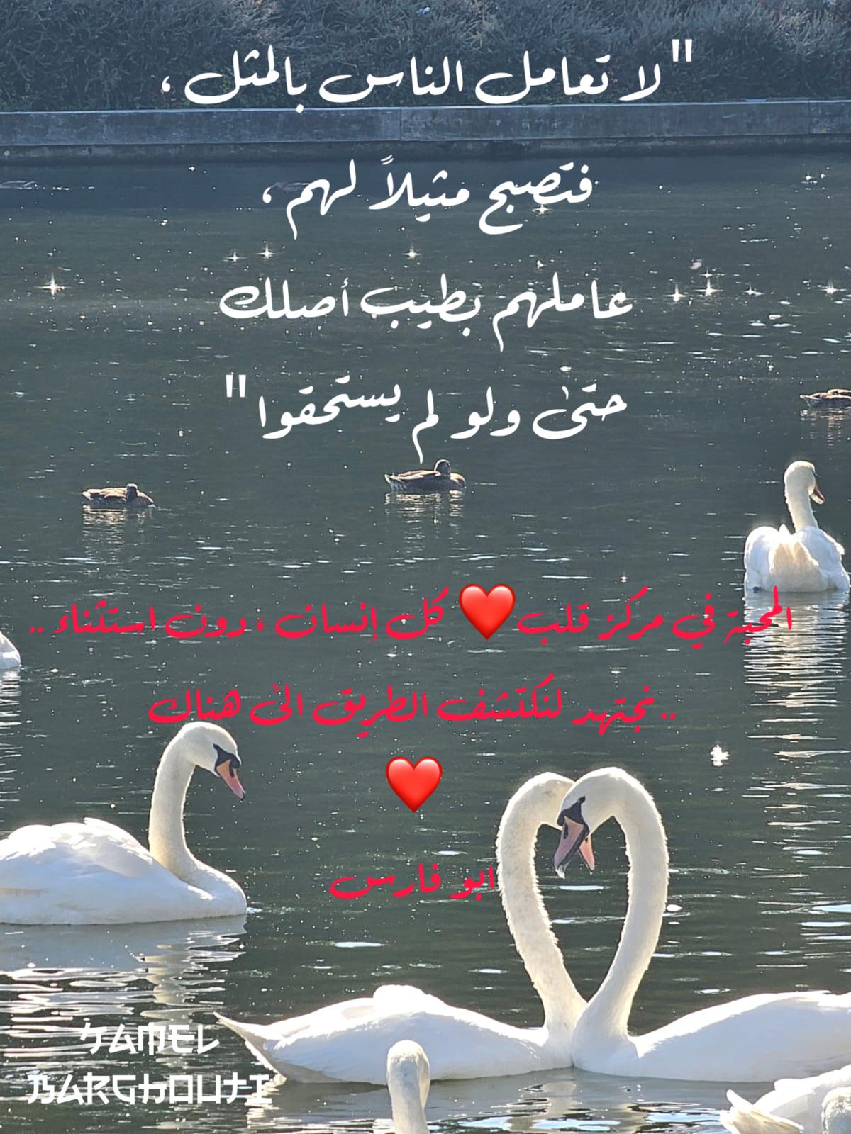 Beautiful Talk – quote 404