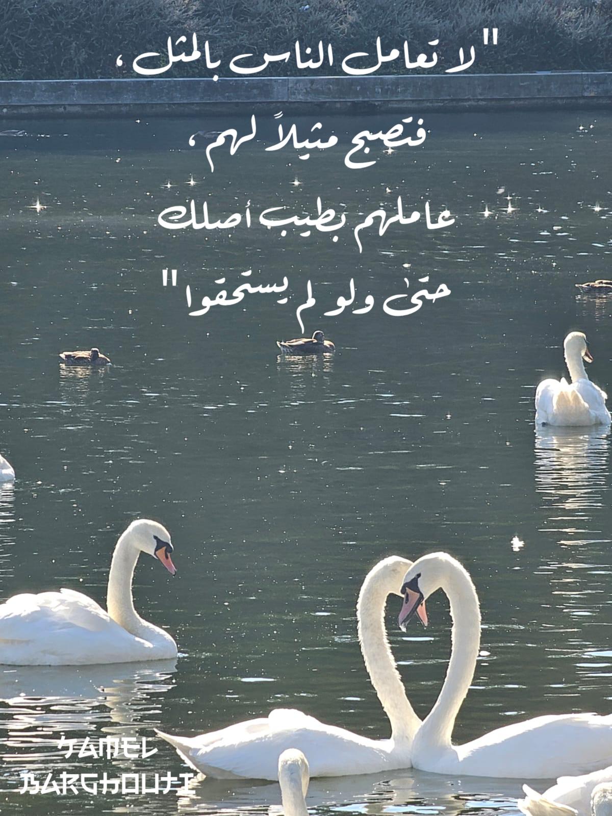 Beautiful Talk – quote 418
