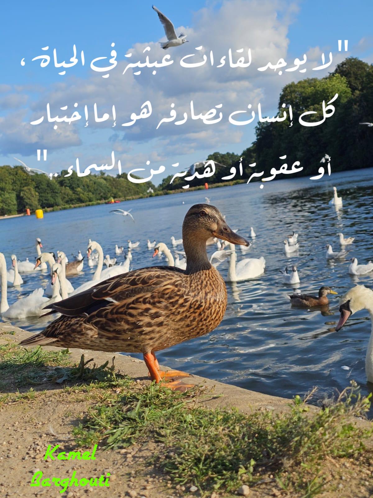 Beautiful Talk – quote 386