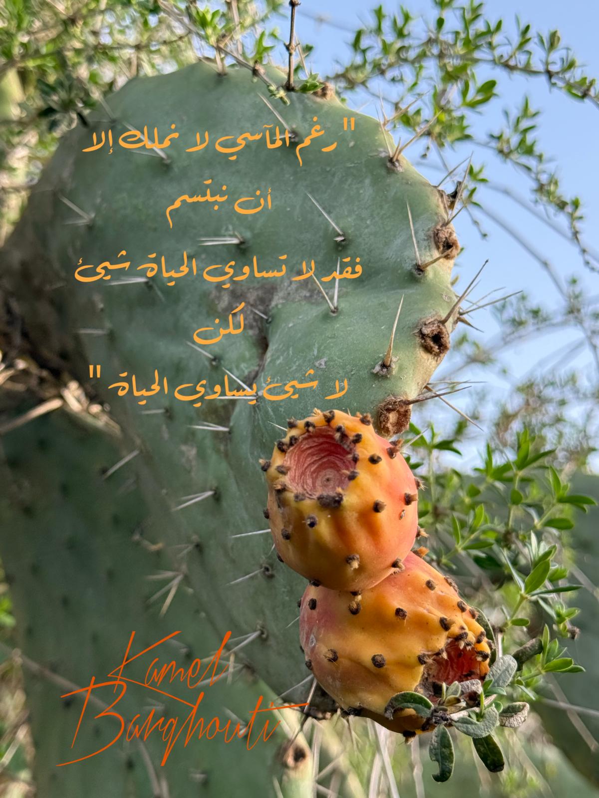 Beautiful Talk – quote 398