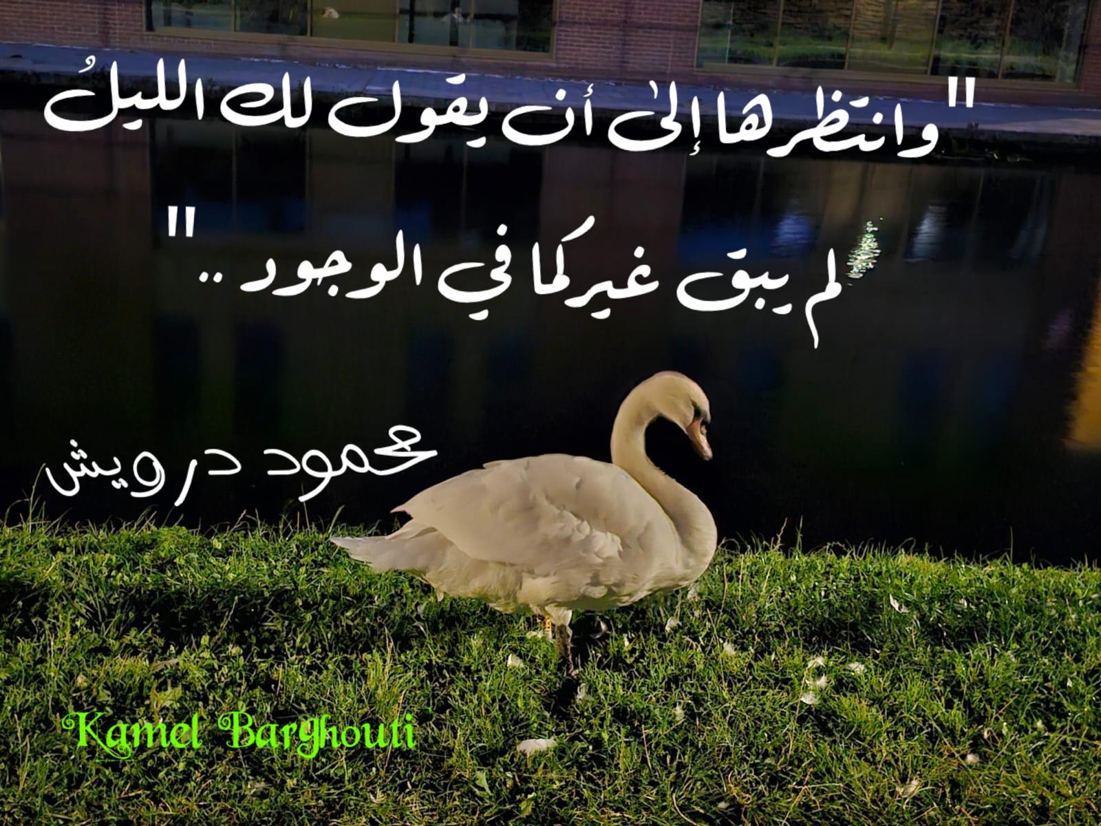 Beautiful Talk – quote 389