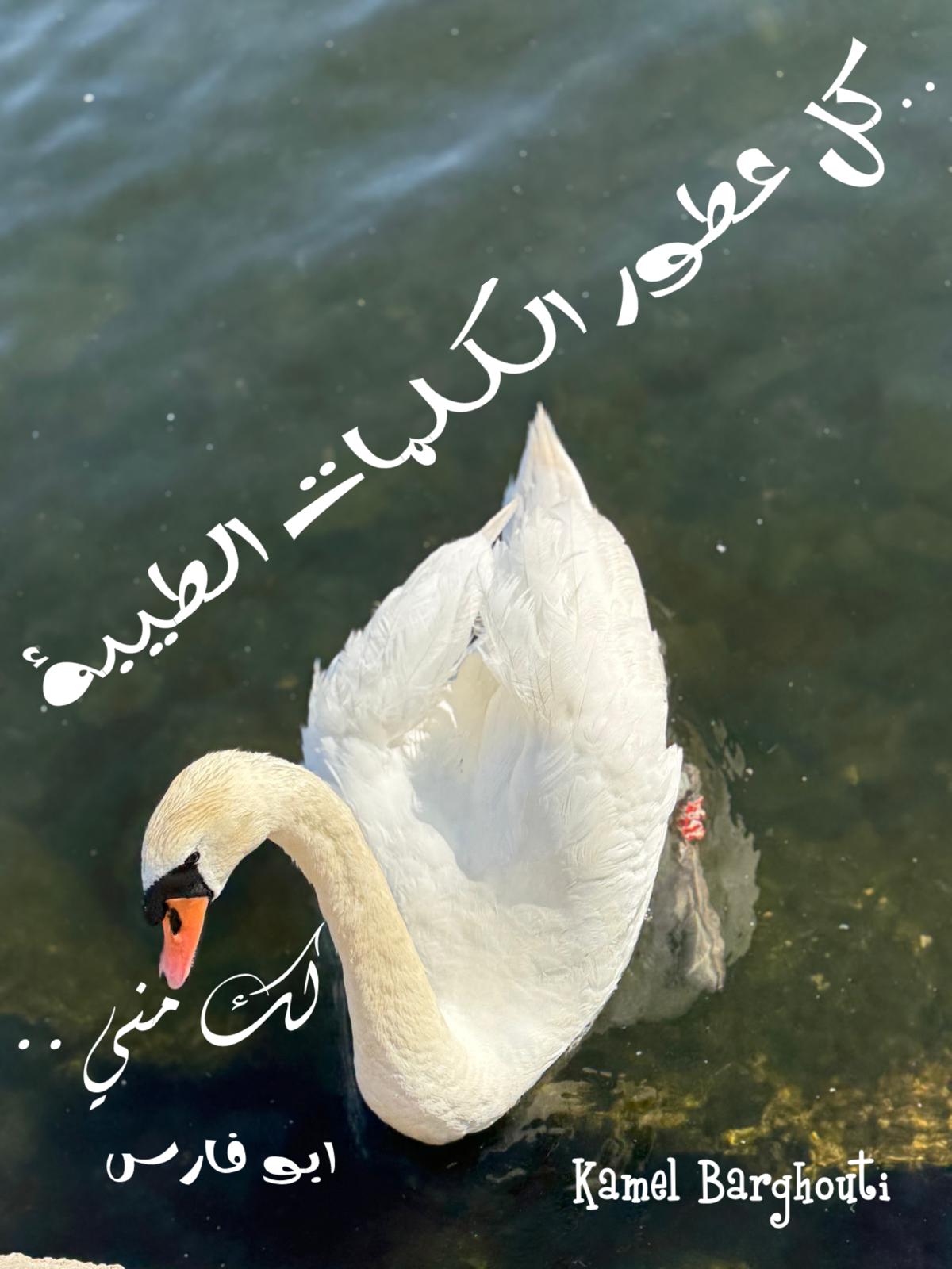 Beautiful Talk – quote 385