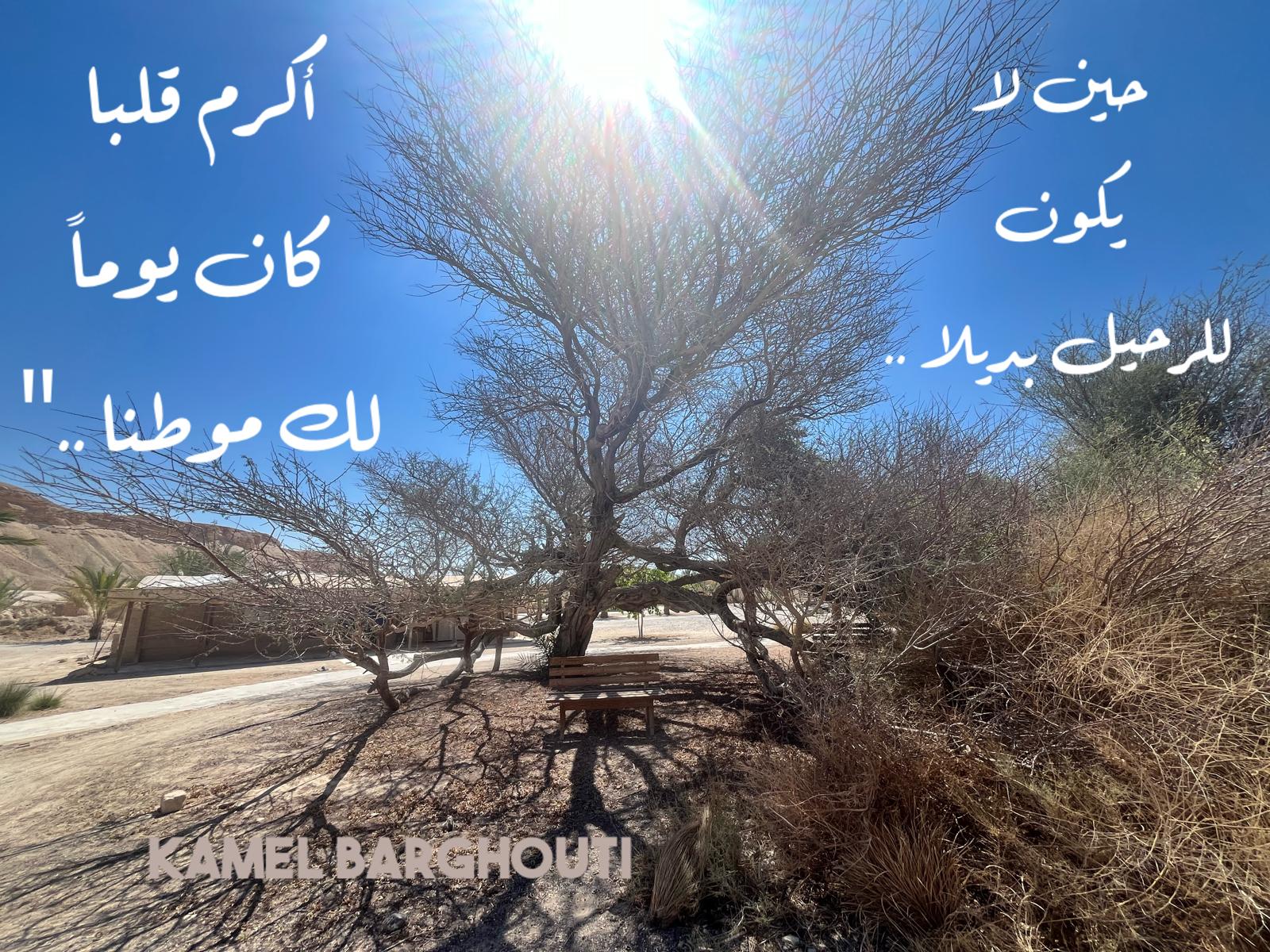 Beautiful Talk – quote 400