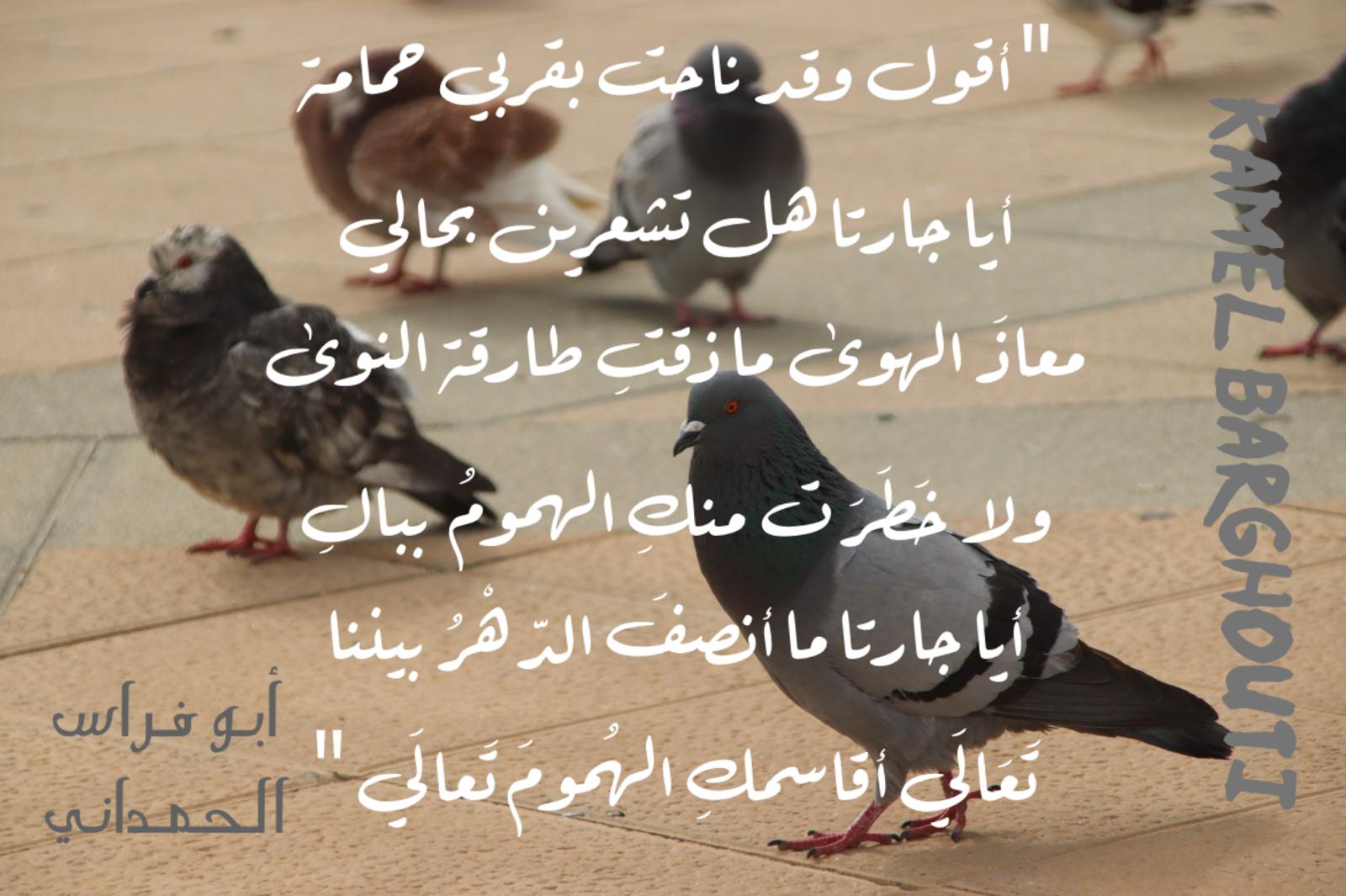 Beautiful Talk – quote 365