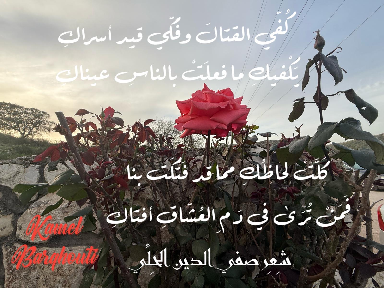 Beautiful Talk – quote 367
