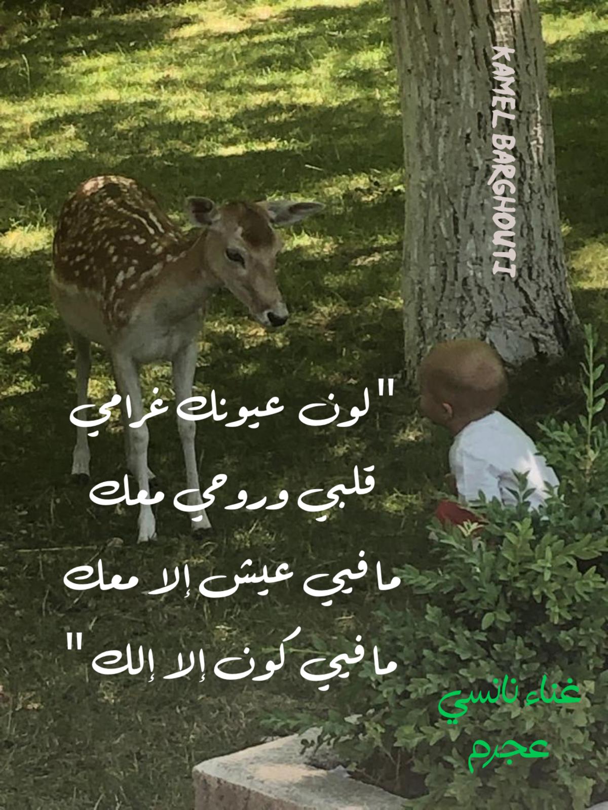 Beautiful Talk – quote 376