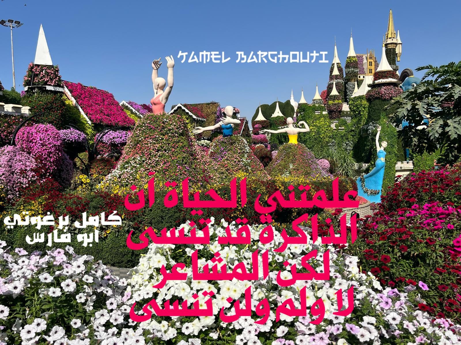 Beautiful Talk – quote 371