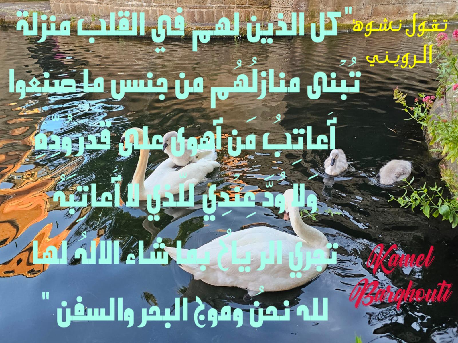 Beautiful Talk – quote 352