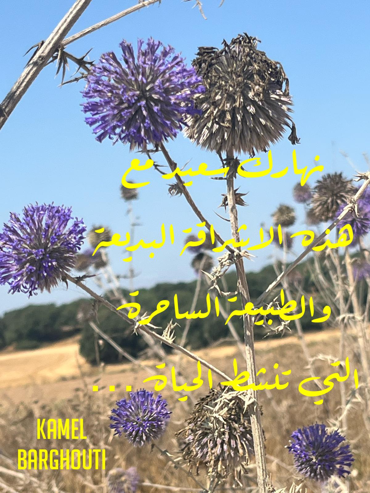 Beautiful Talk – quote 356