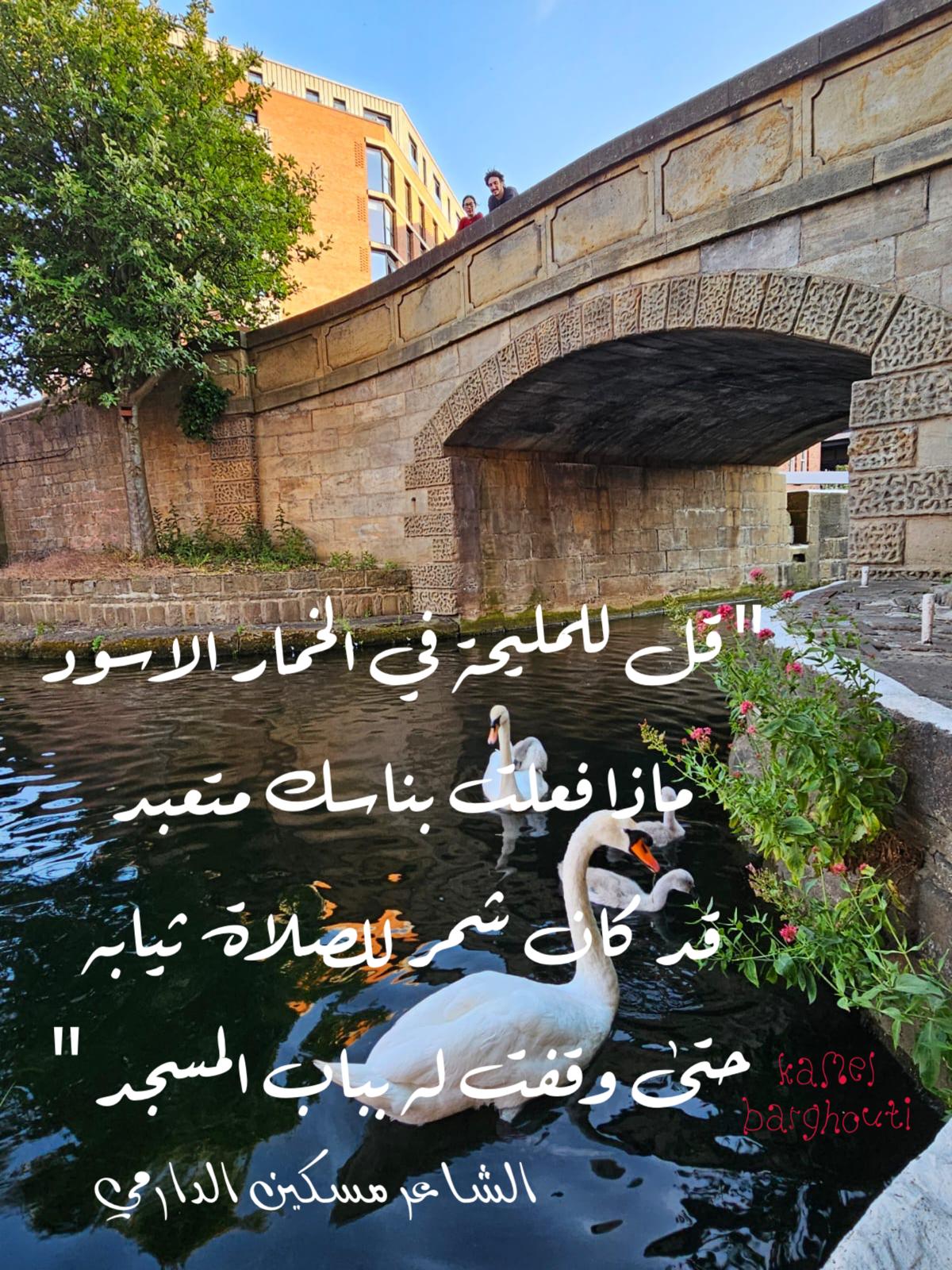 Beautiful Talk – quote 344