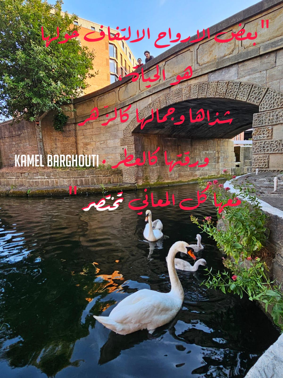 Beautiful Talk – quote 351