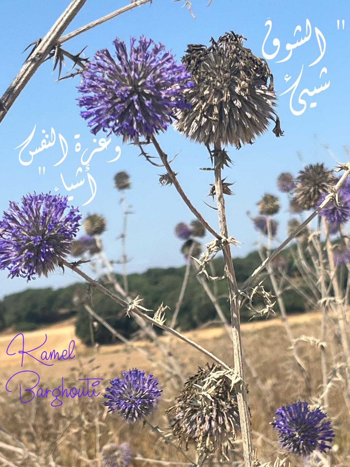 Beautiful Talk – quote 354
