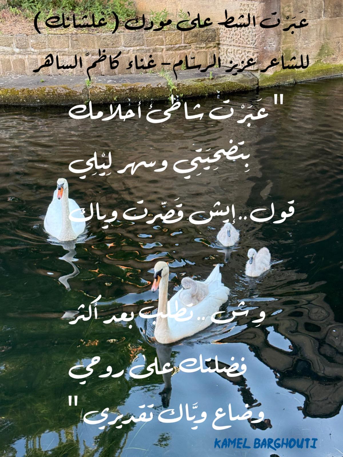 Beautiful Talk – quote 346