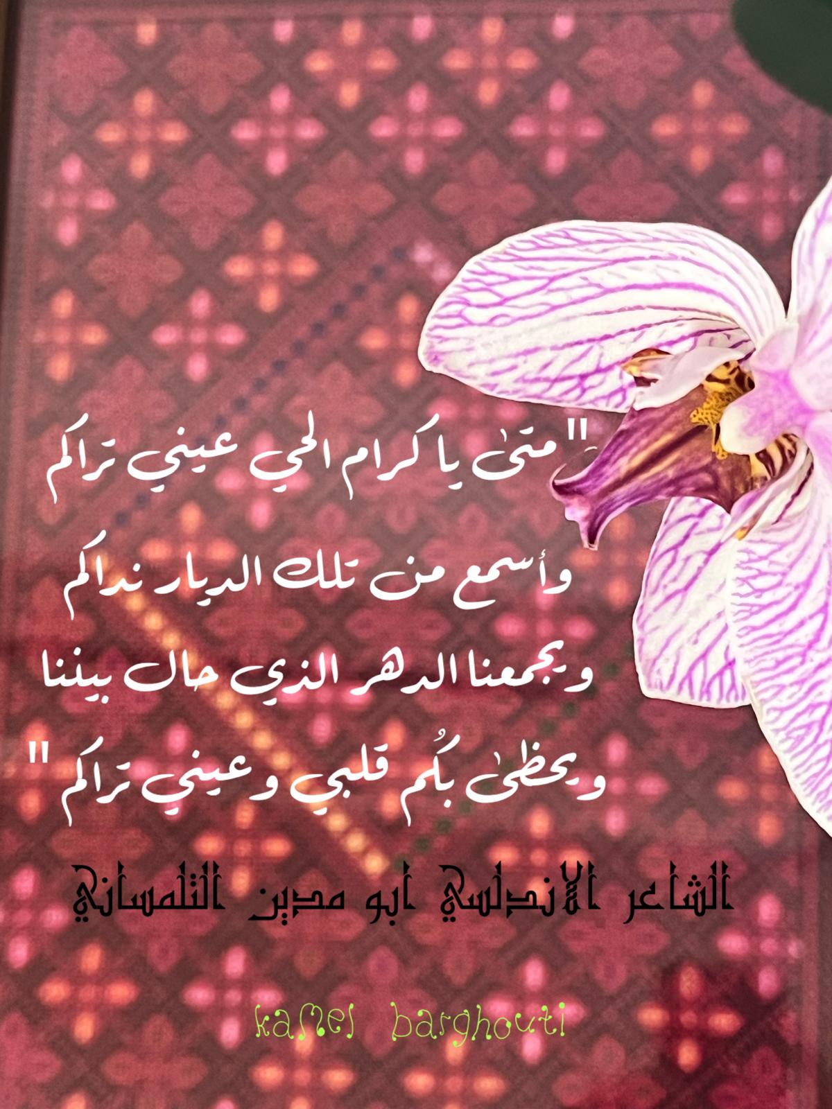 Beautiful Talk – quote 349