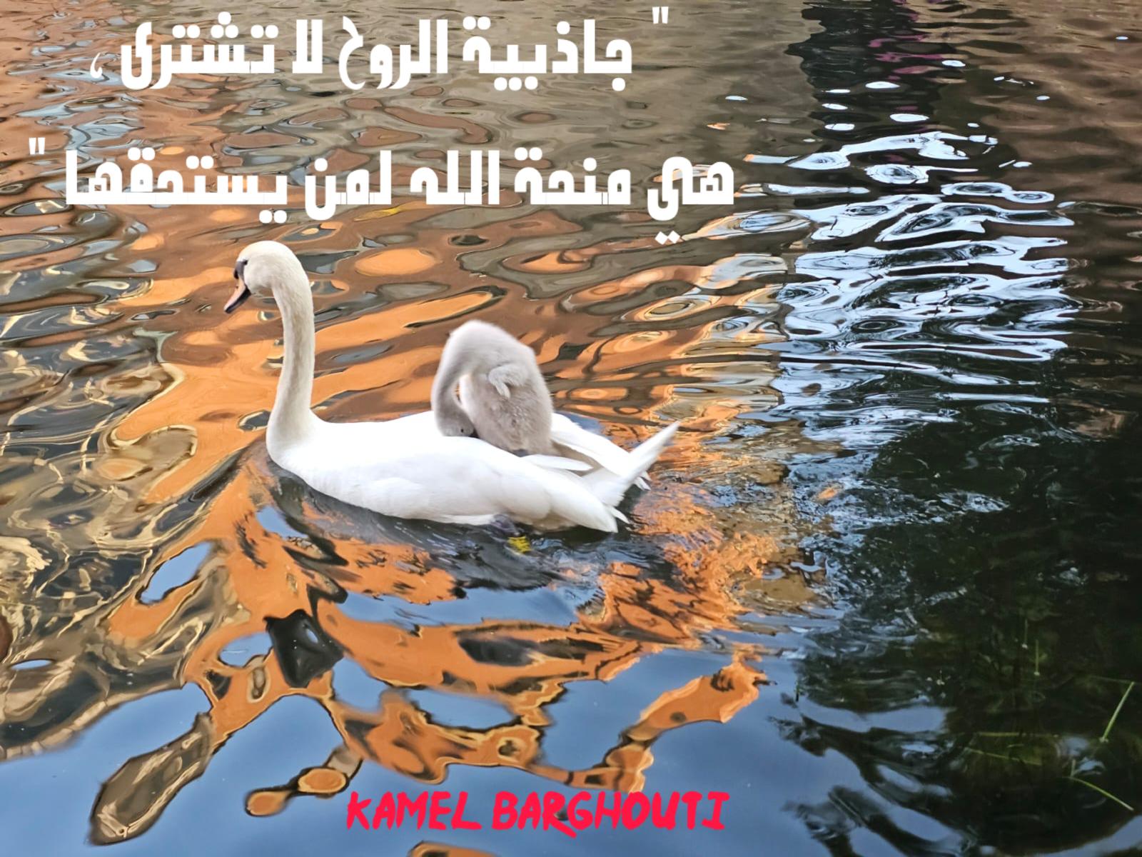 Beautiful Talk – quote 353