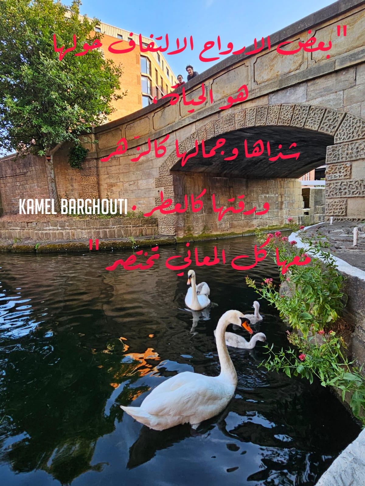 Beautiful Talk – quote 350