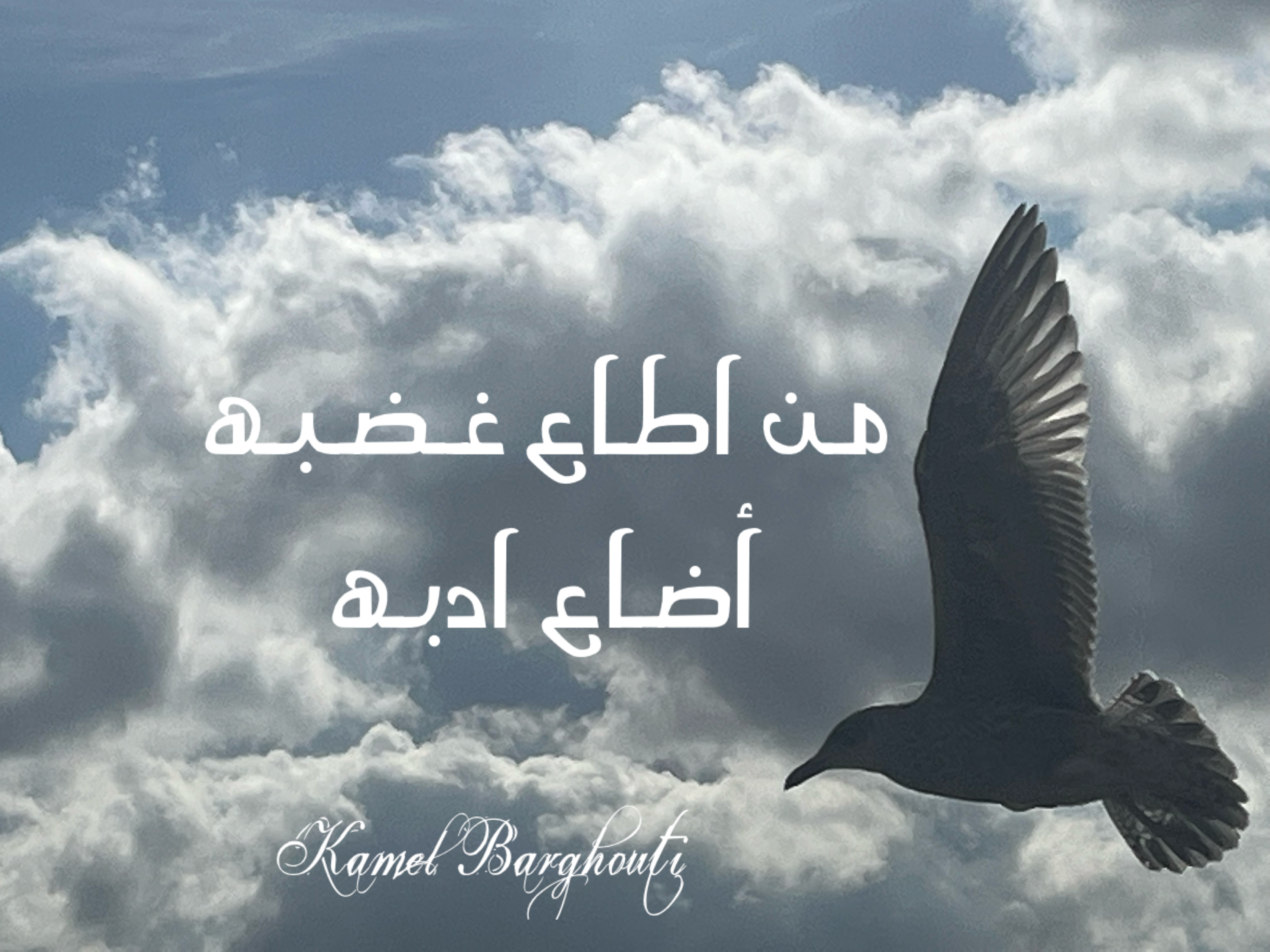 Beautiful Talk – quote 323