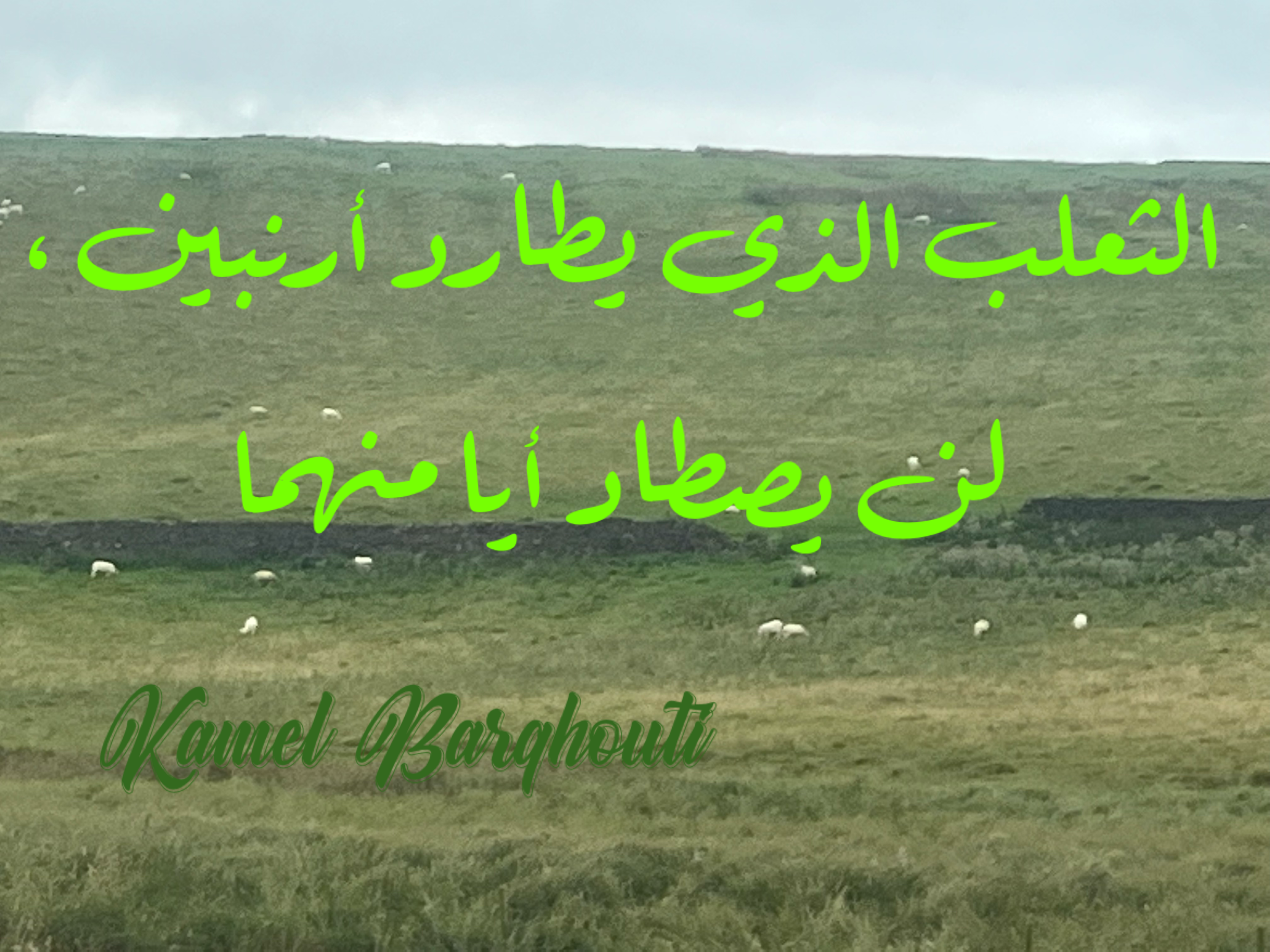 Beautiful Talk – quote 316