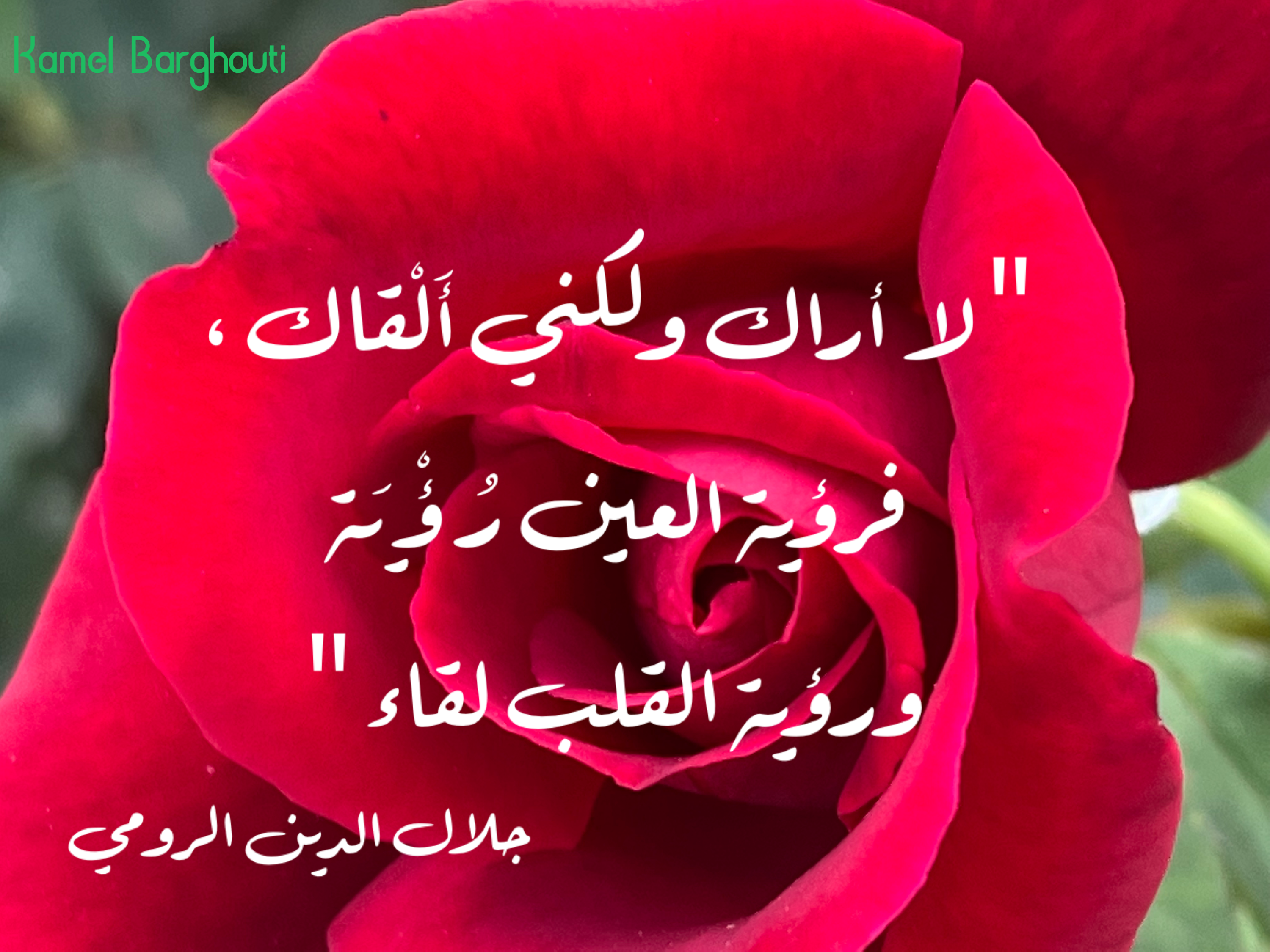 Beautiful Talk – quote 300