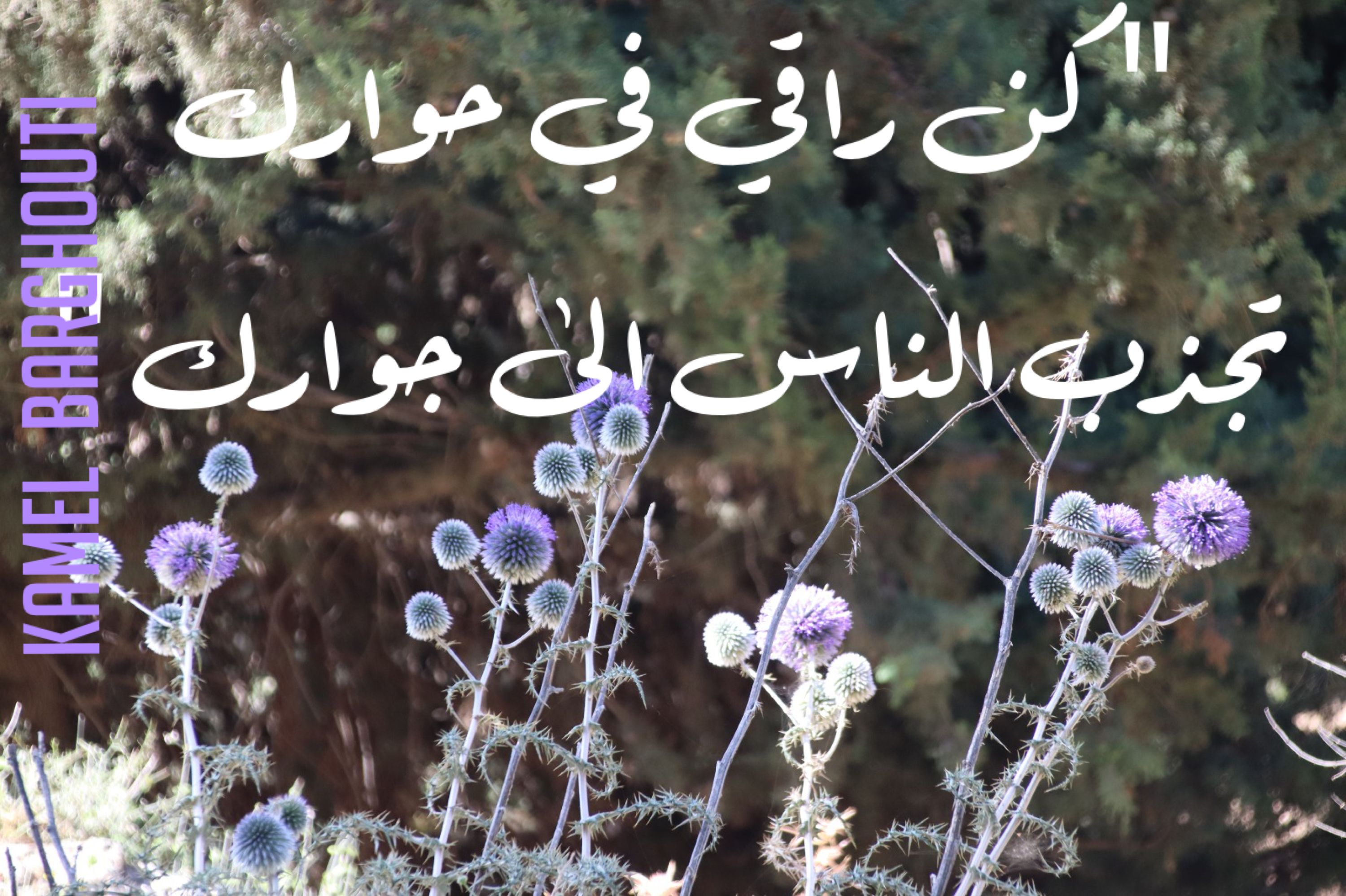 Beautiful Talk – quote 282