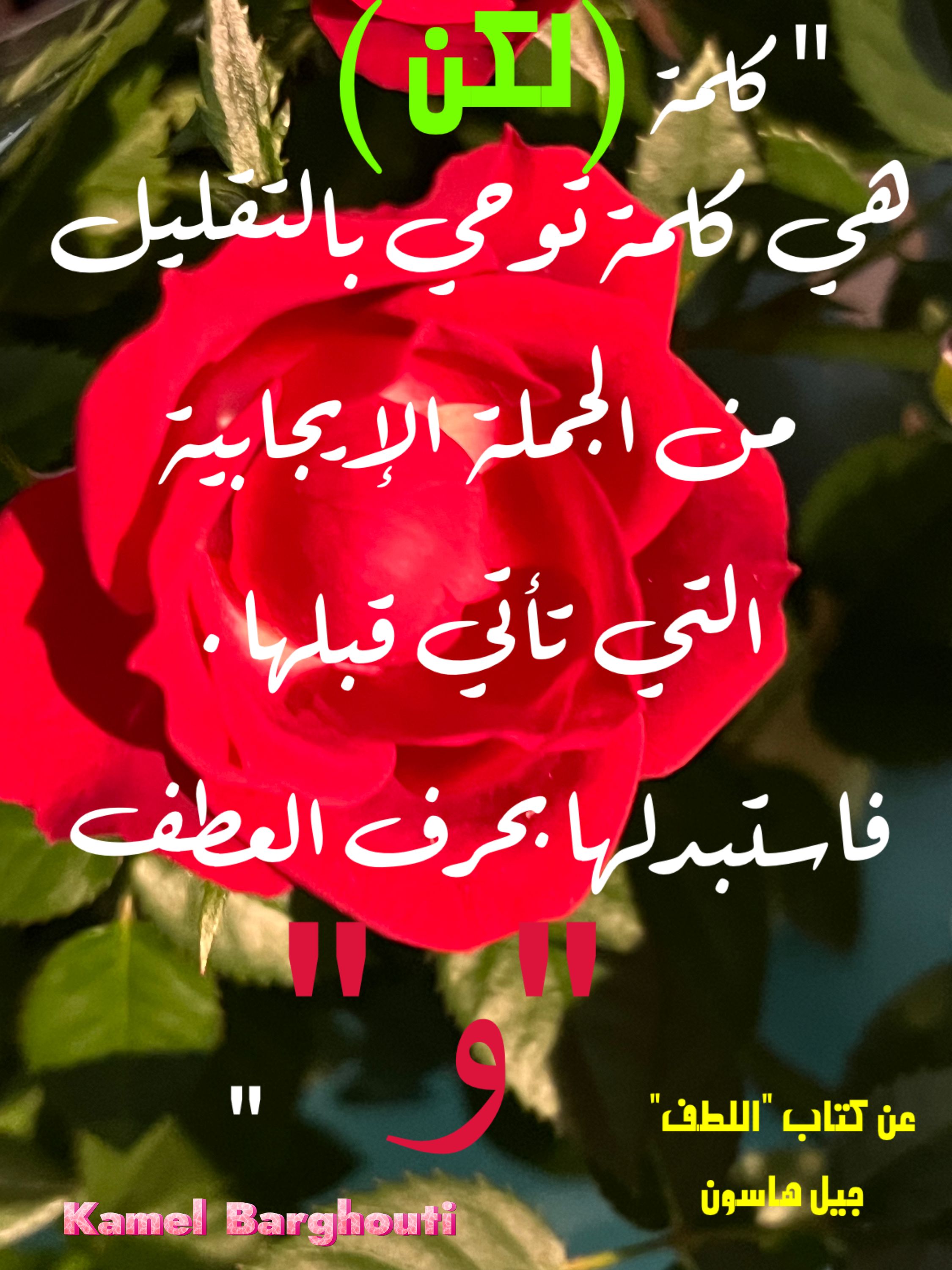 Beautiful Talk – quote 279