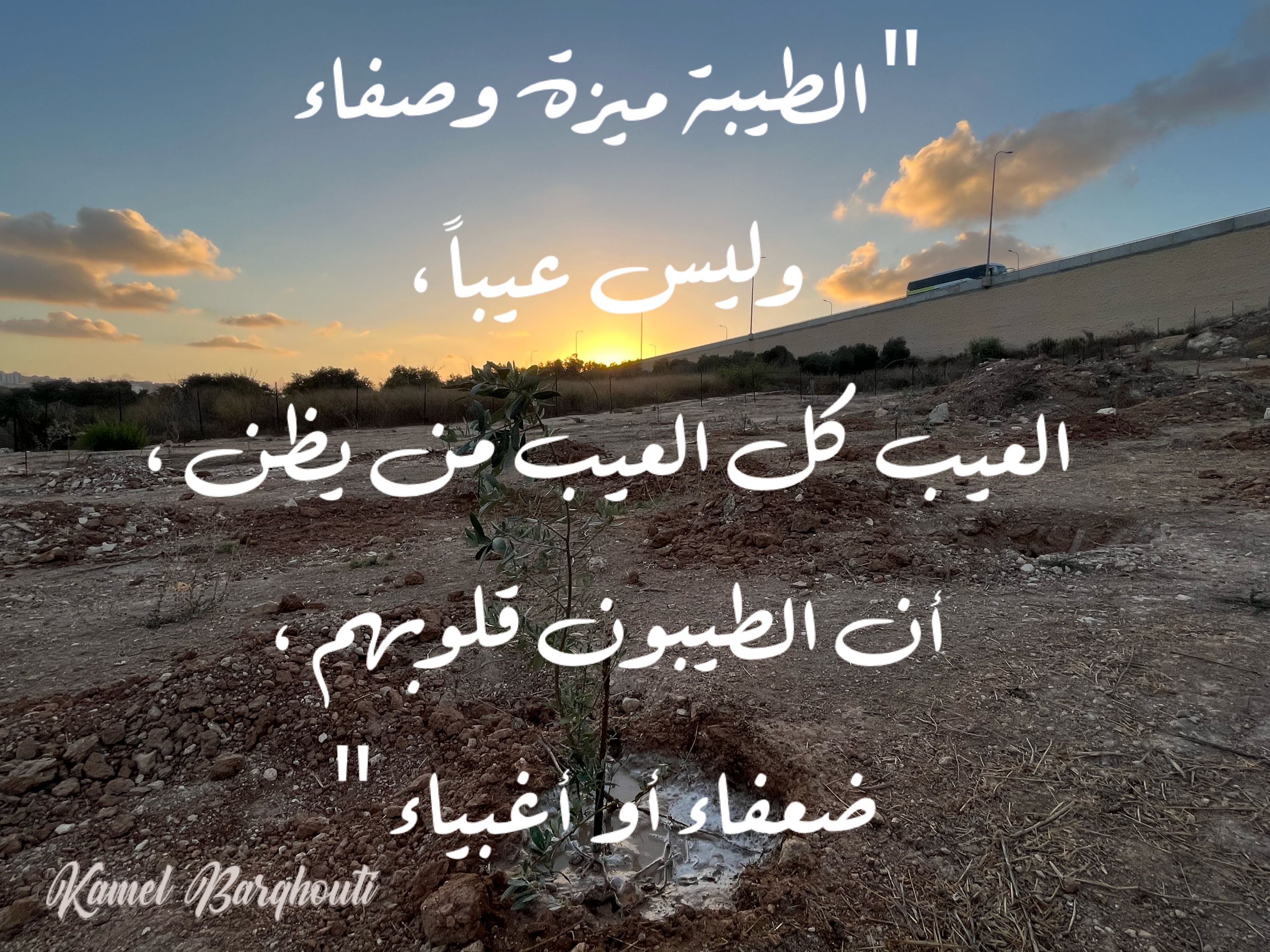 Beautiful Talk – quote 274