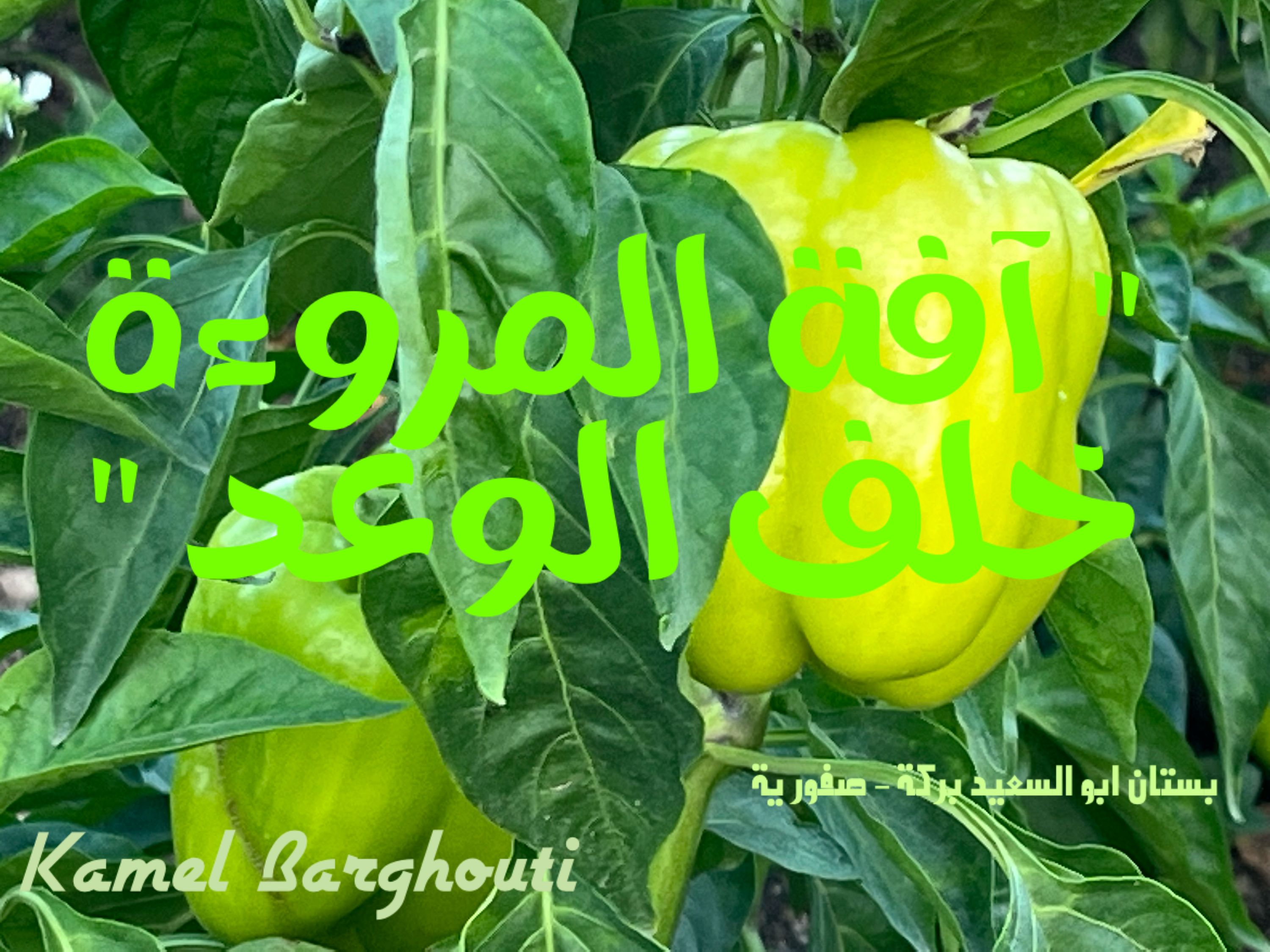 Beautiful Talk – quote 262