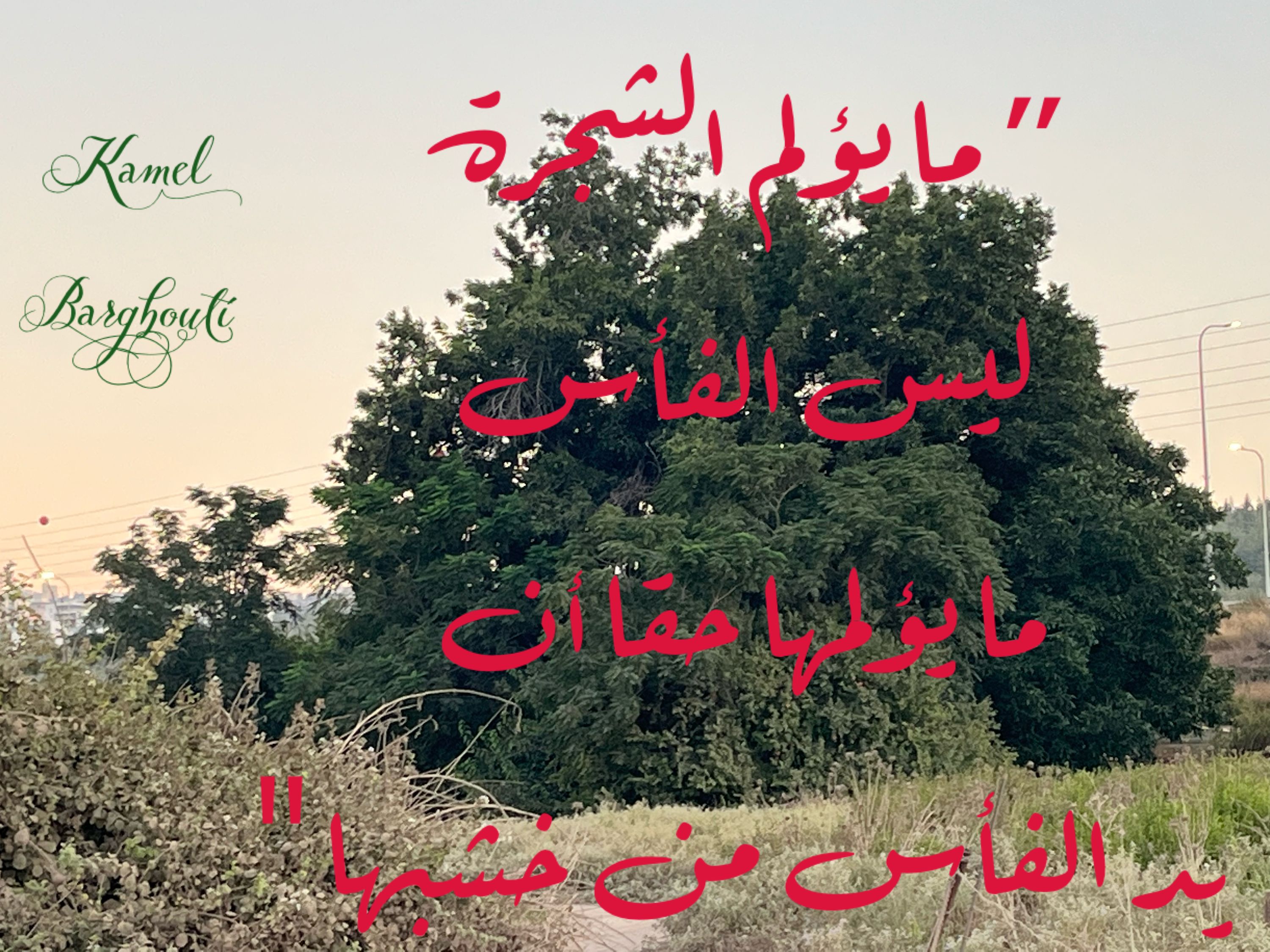 Beautiful Talk – quote 261