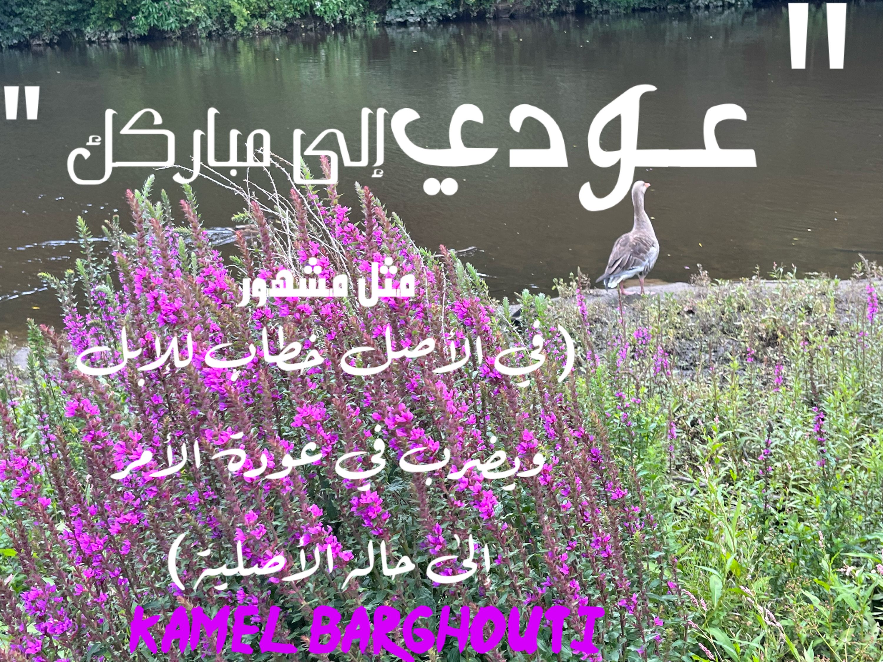 Beautiful Talk – quote 227