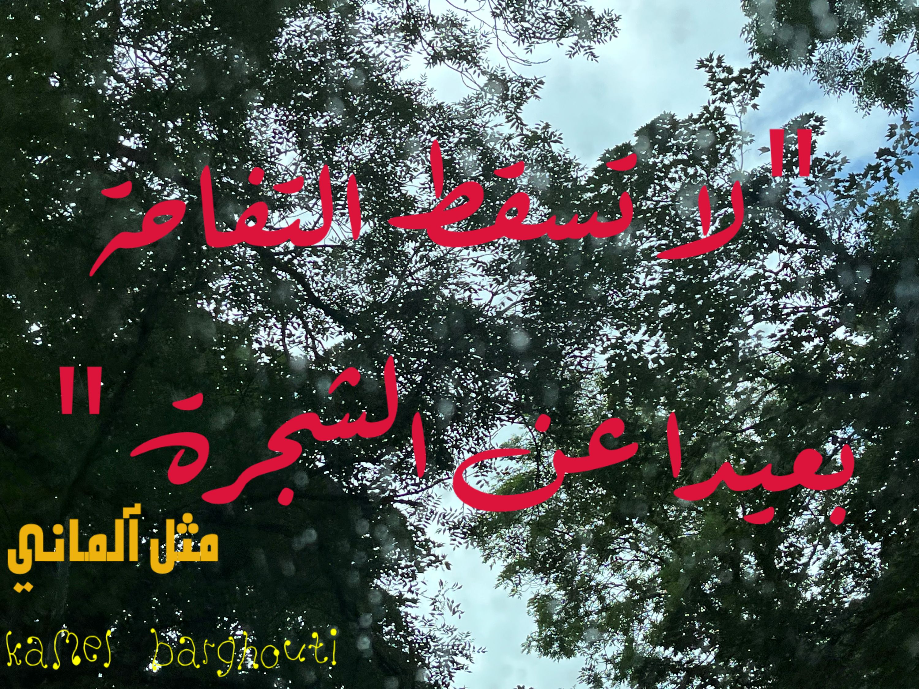 Beautiful Talk – quote 246