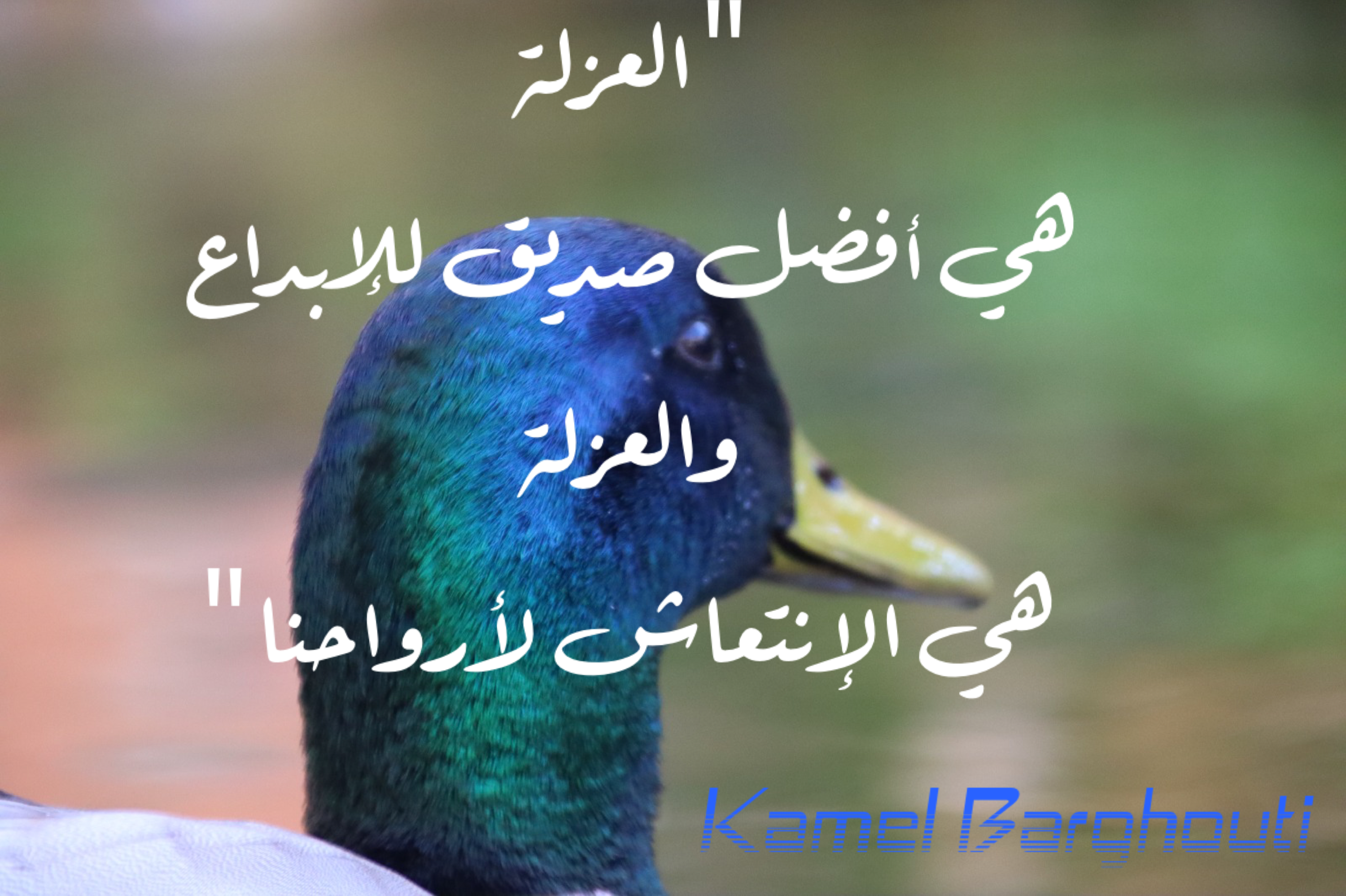 Beautiful Talk – quote 221