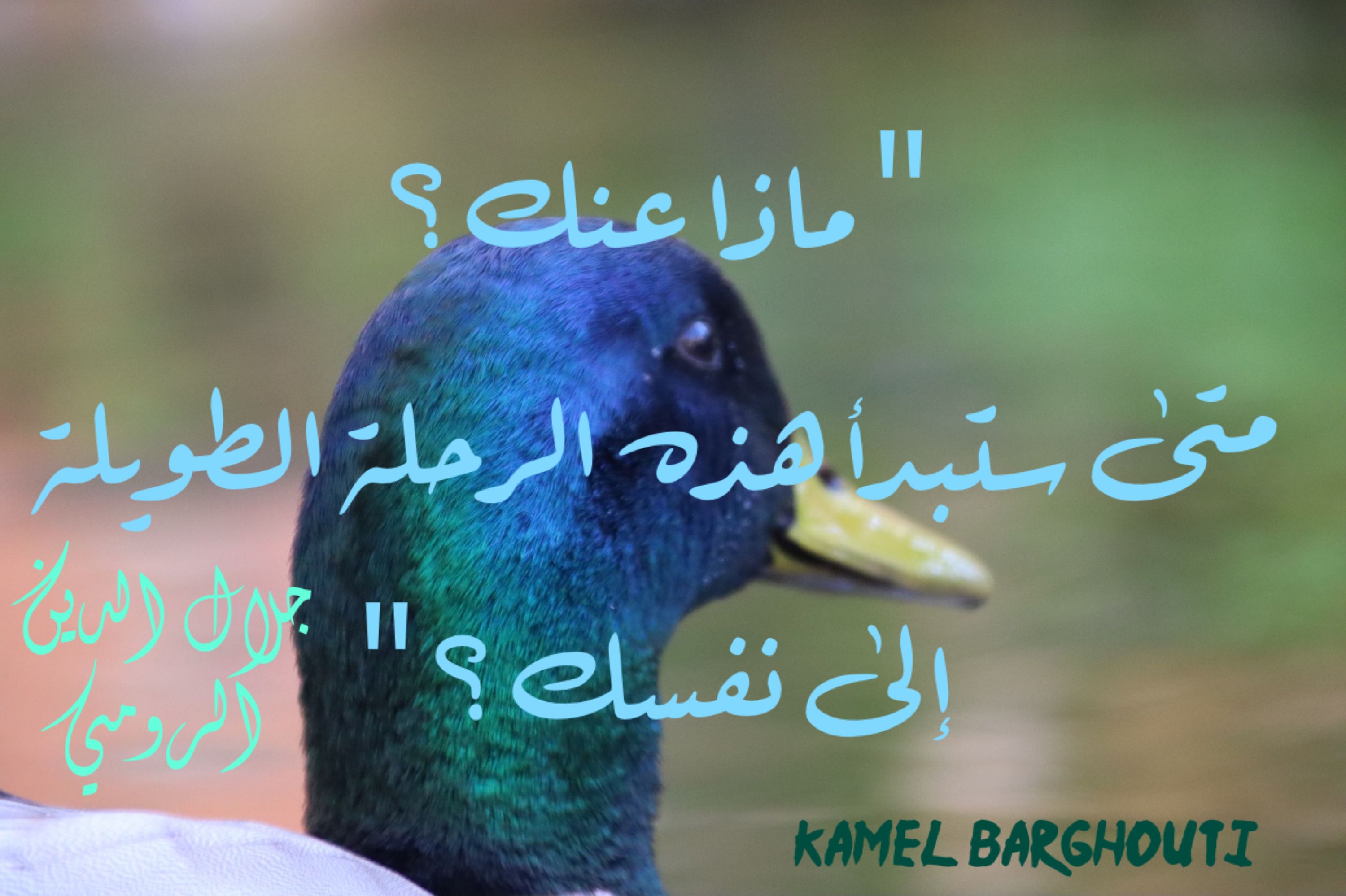 Beautiful Talk – quote 232