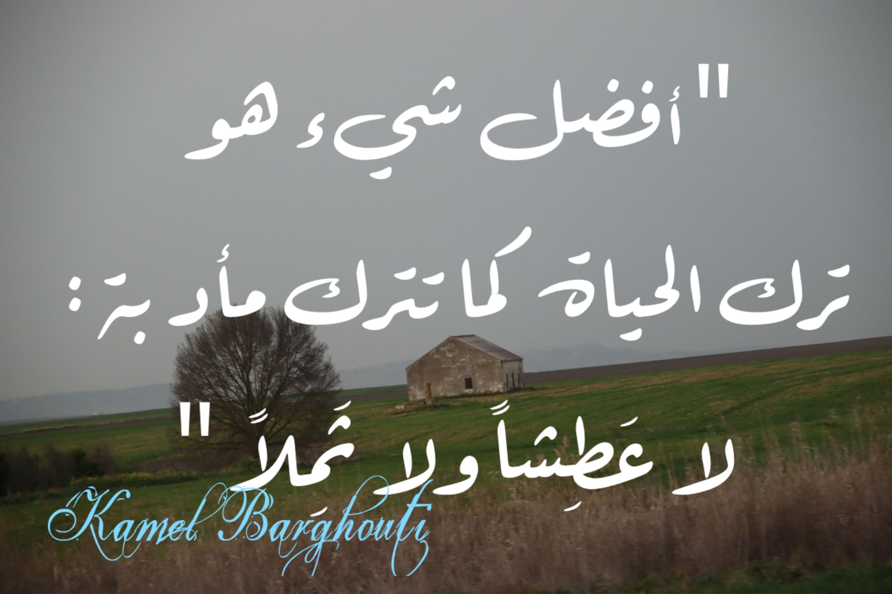 Beautiful Talk – quote 234