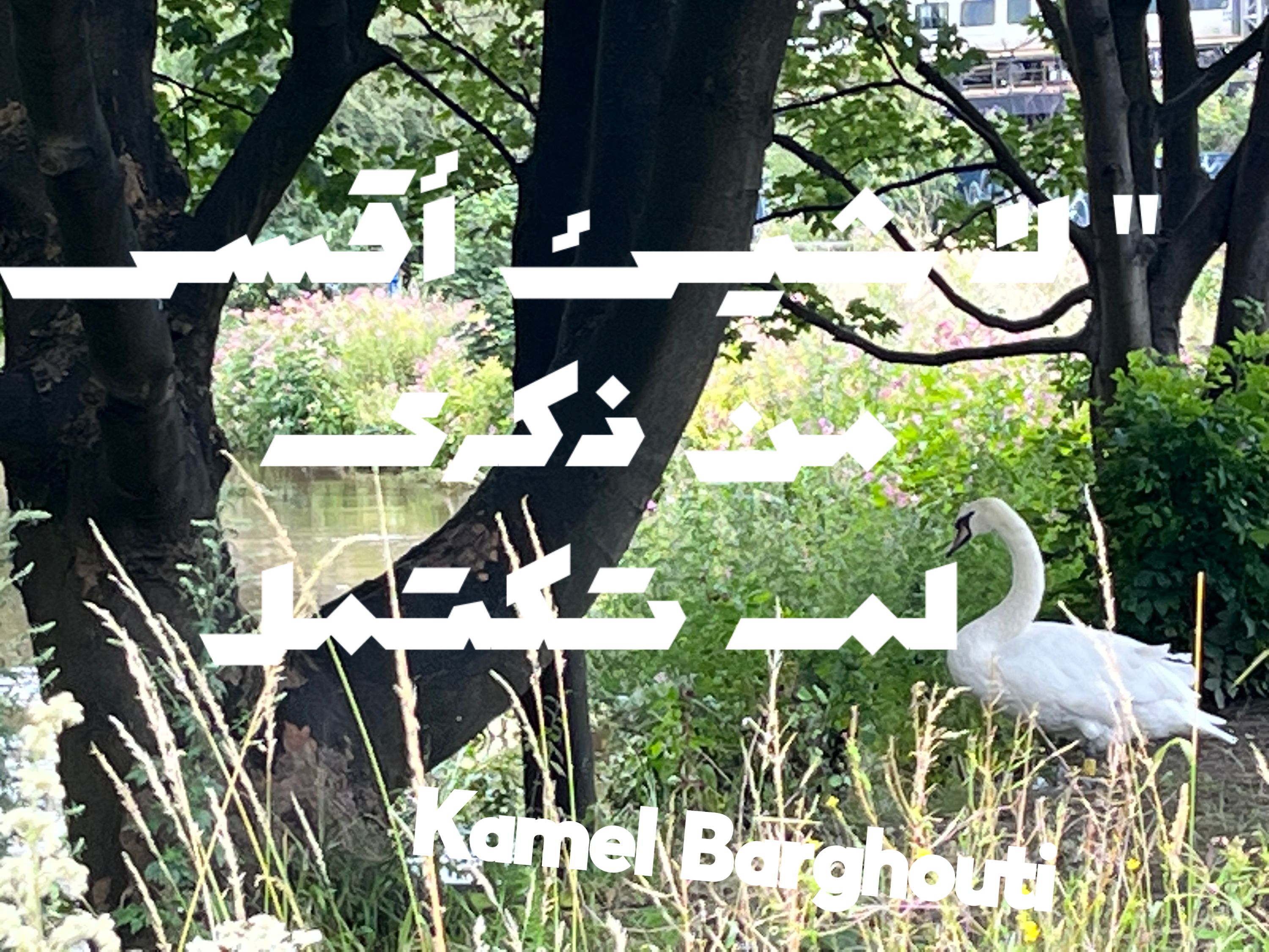 Beautiful Talk – quote 229