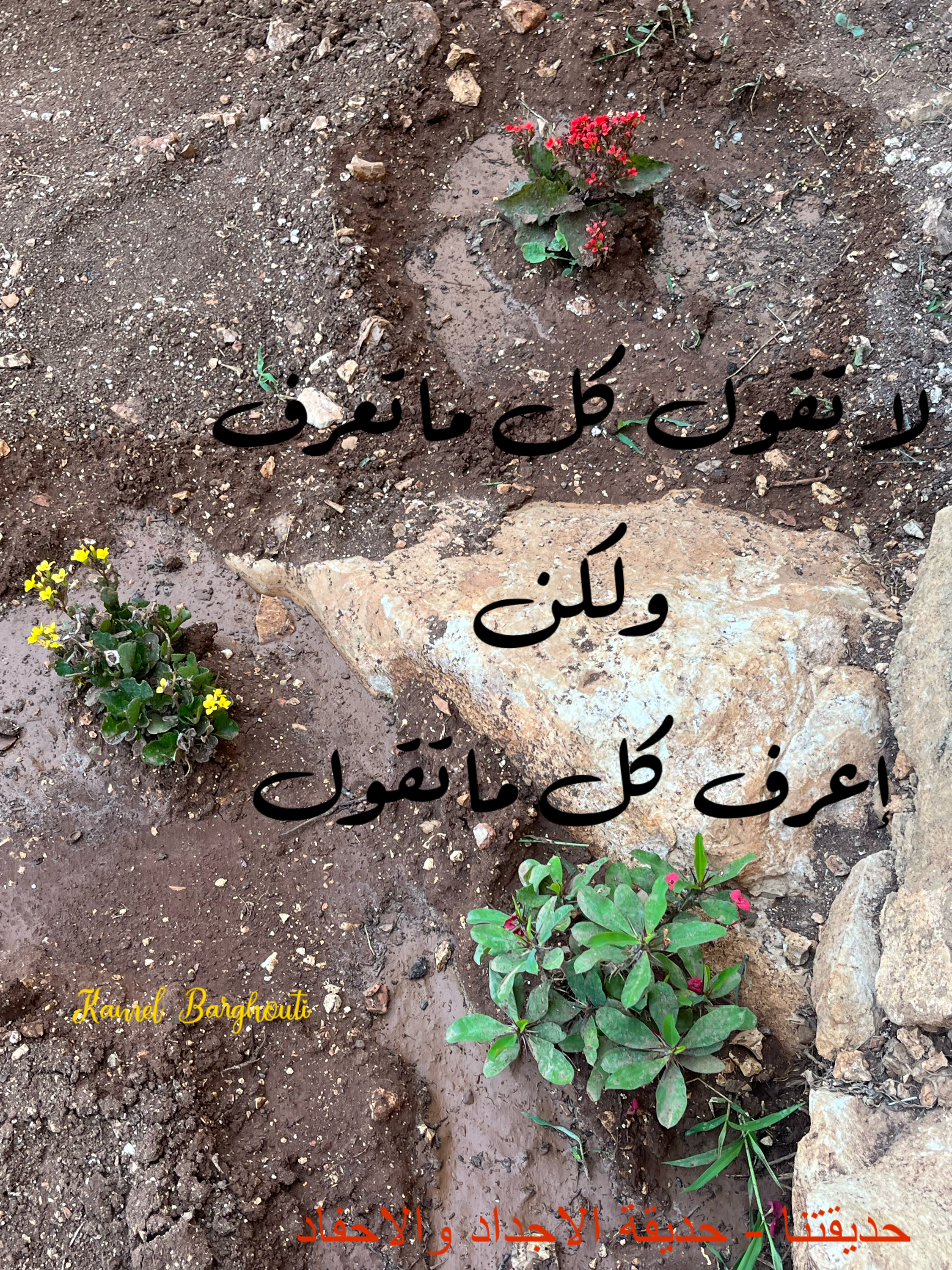 Beautiful Talk – quote 216