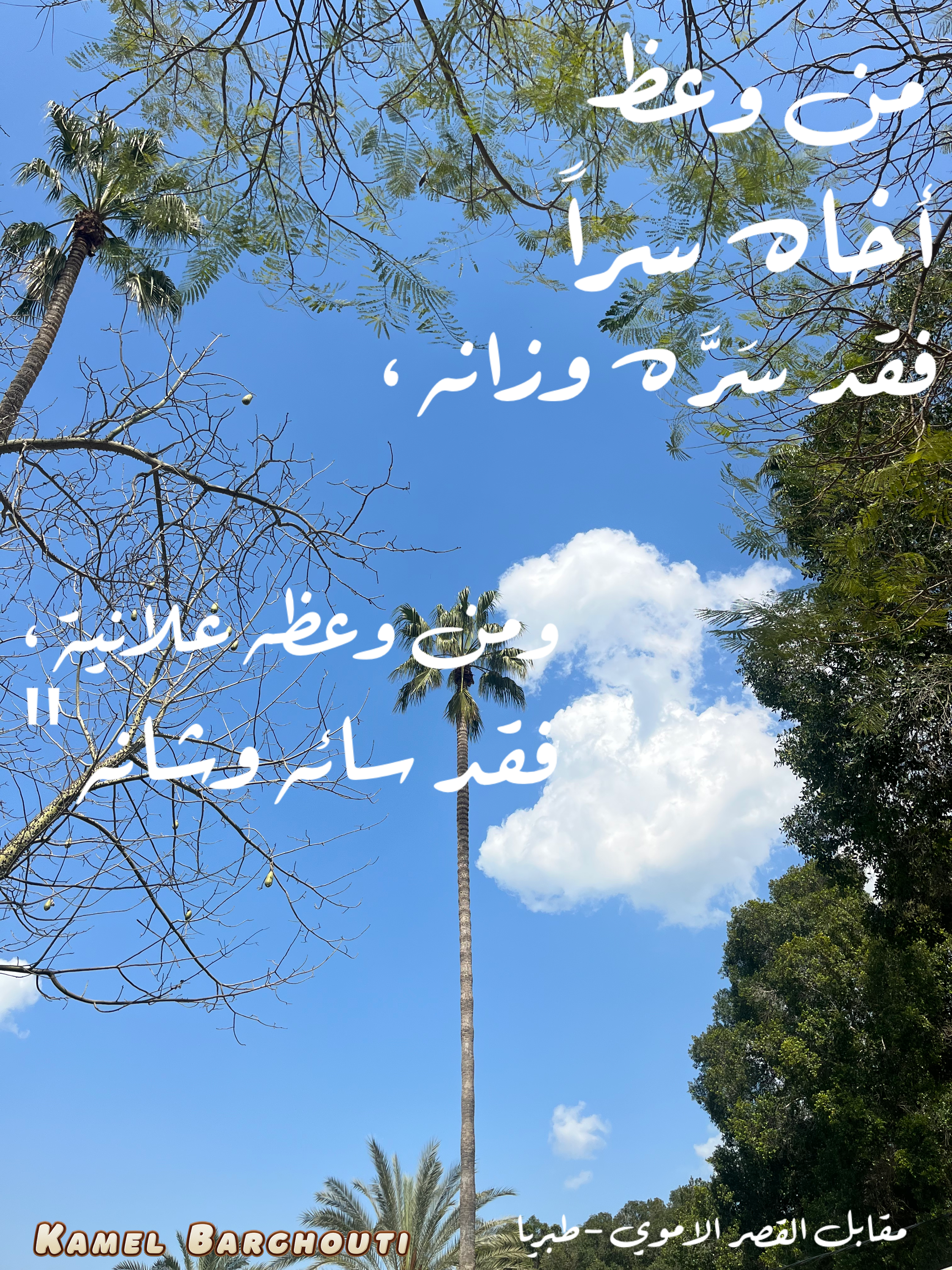 Beautiful Talk – quote 208