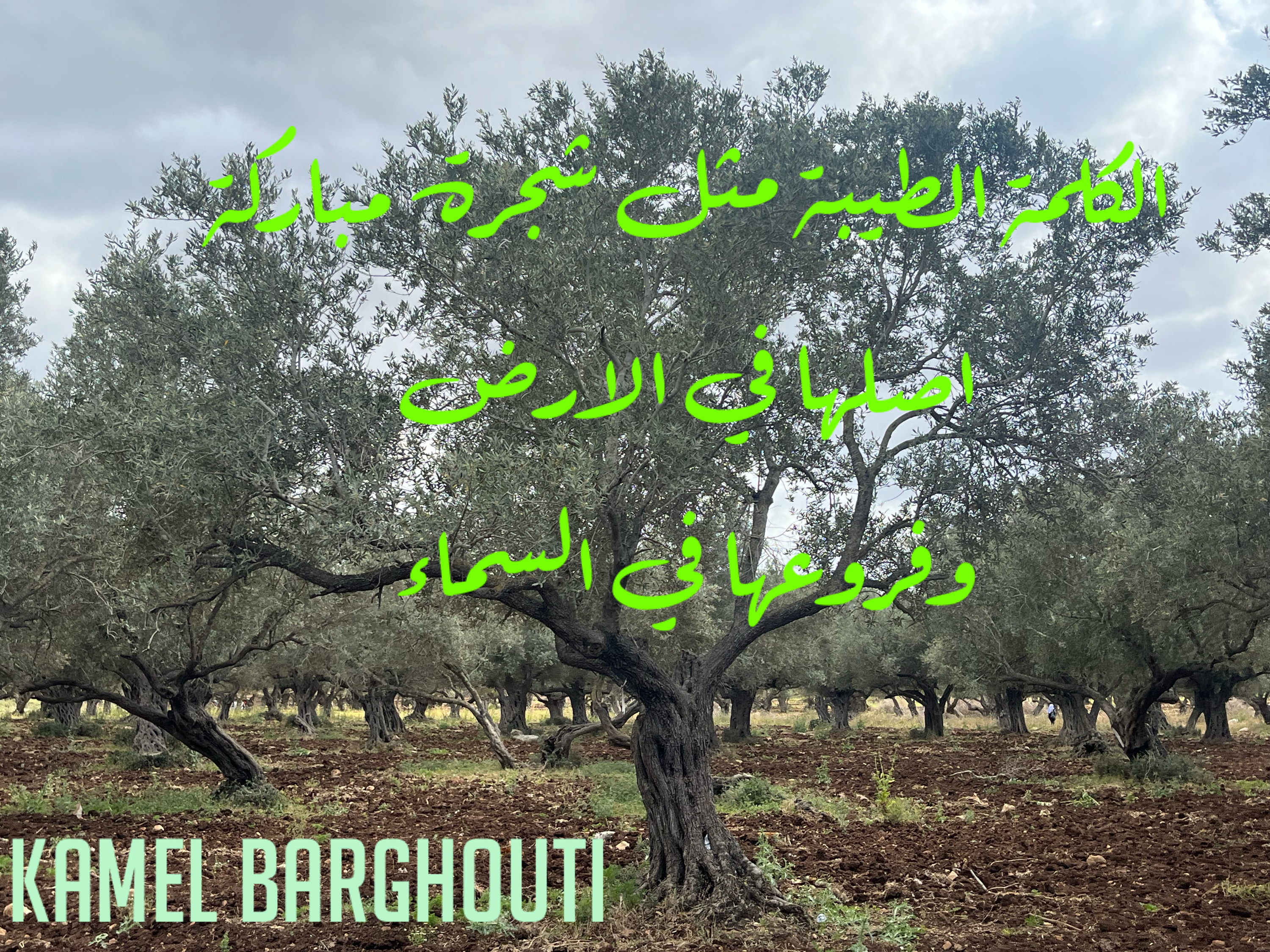 Beautiful Talk – quote 202