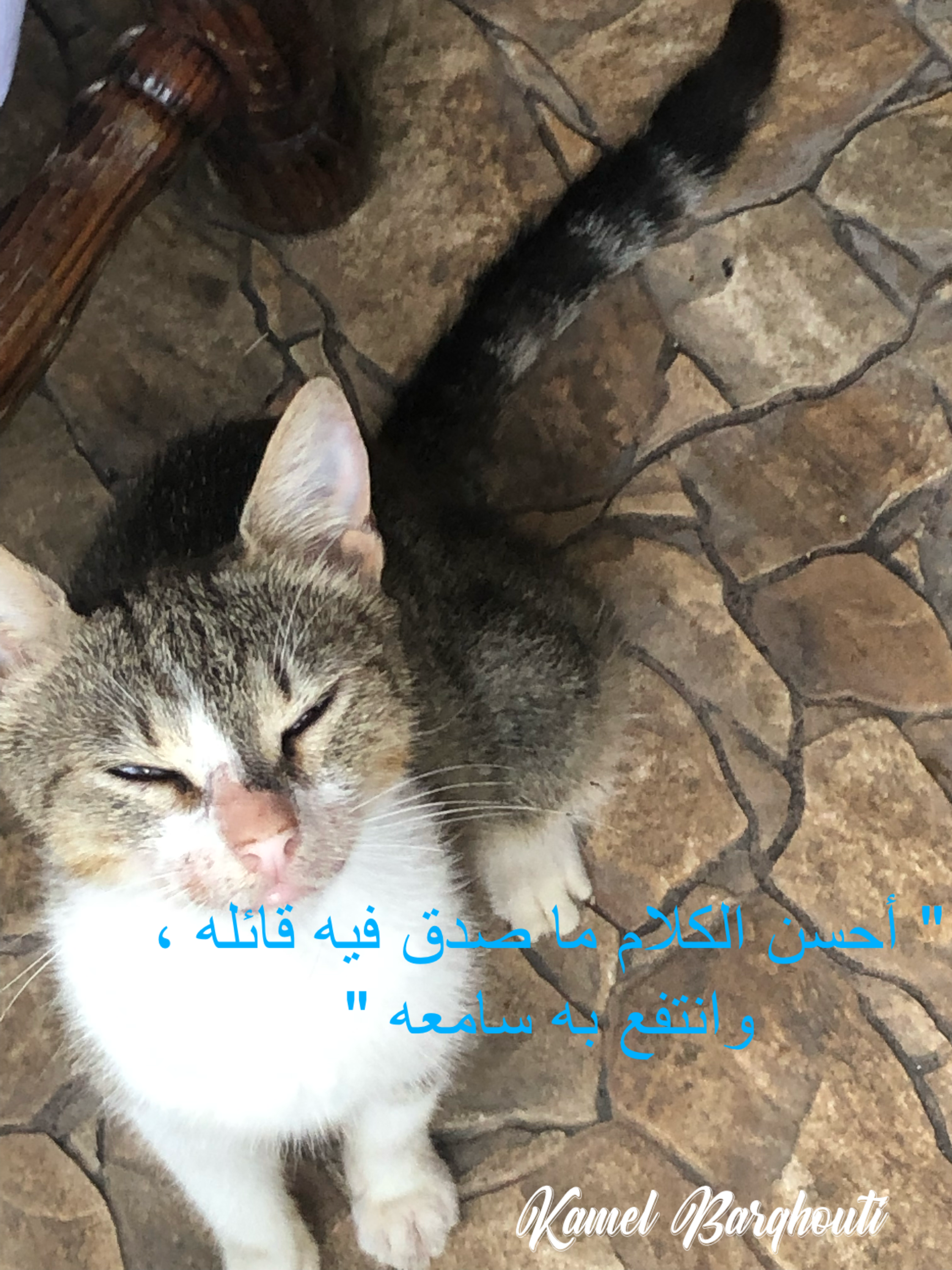 Beautiful Talk – quote 195